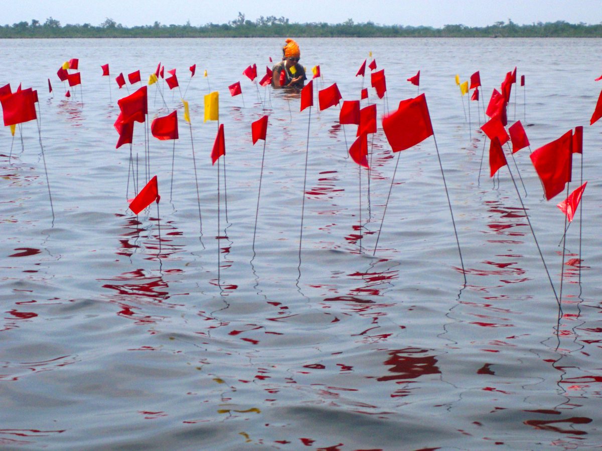 red flags marking the location of submerged building poles at a Maya archaeology site