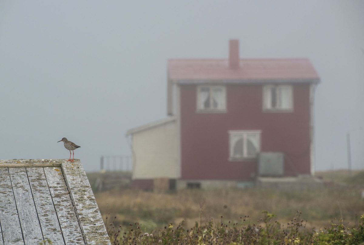 foggy island of Lånan