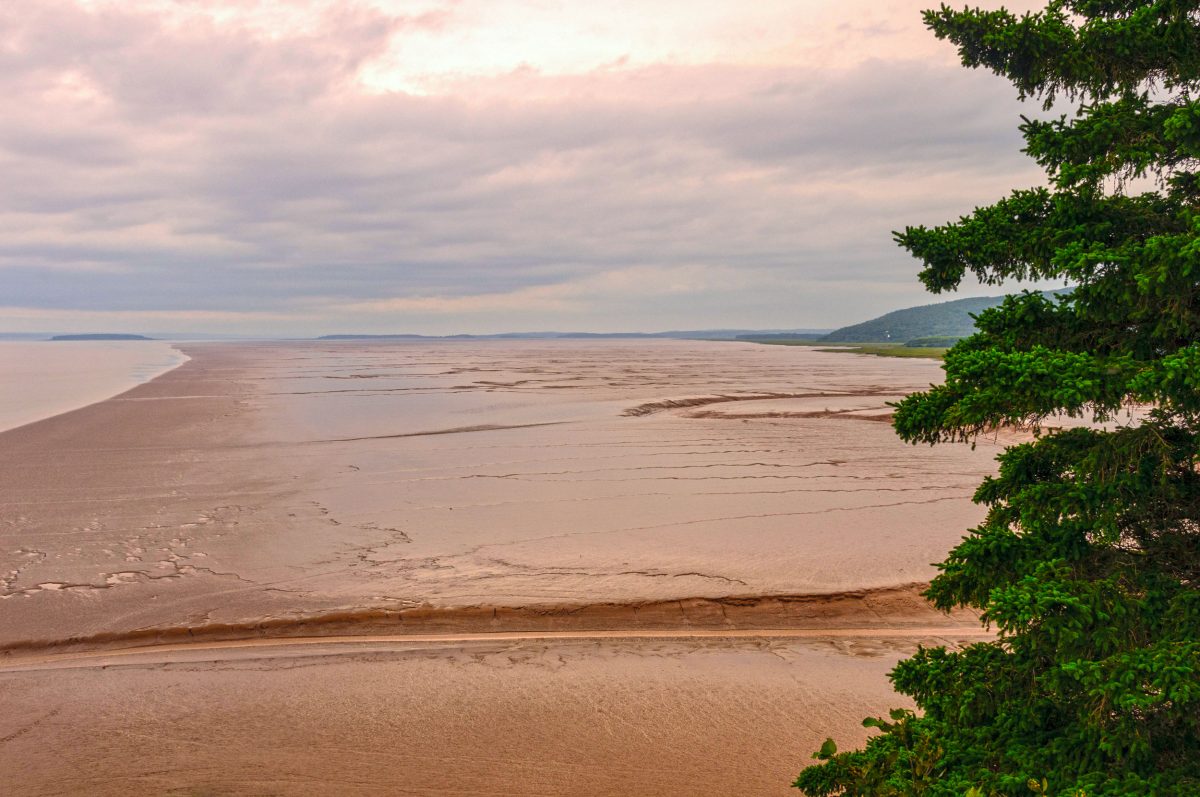 mudflats, Bay of Fundy