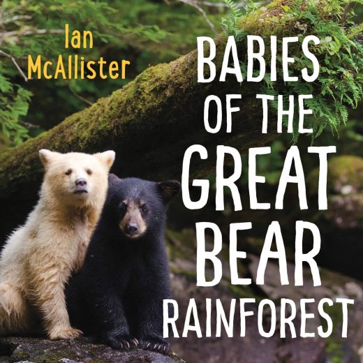 Babies of the Great Bear Rainforest cover image