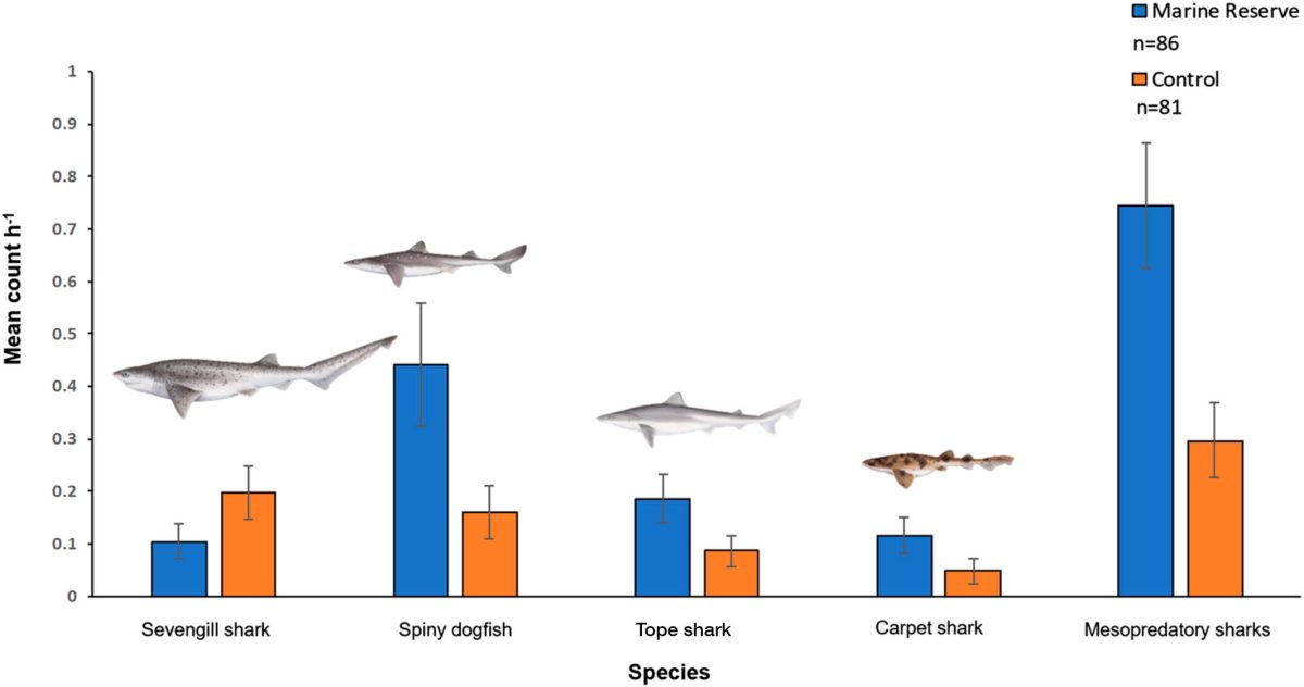 Graph showing abundance of shark species inside and outside of marine reserves