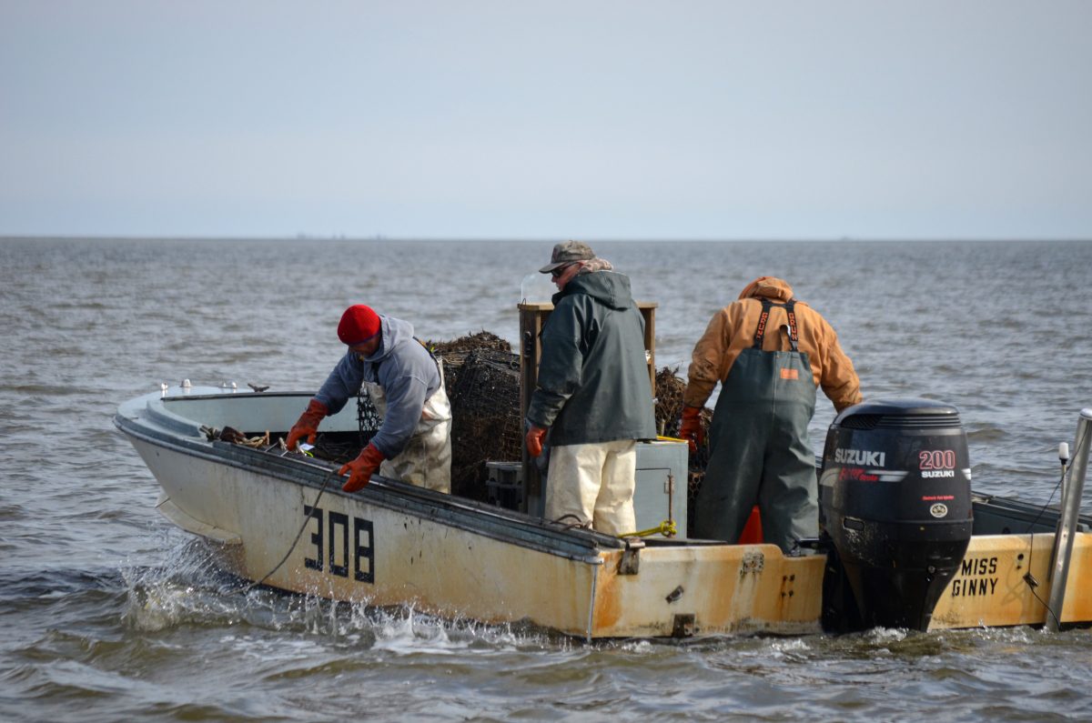 Fishers drop a grappling line into Mullica River–Great Bay Estuary, hoping to snag a lost trap