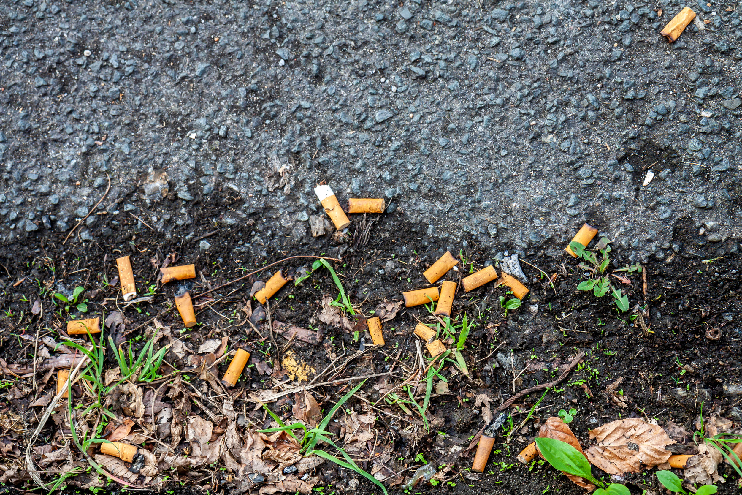 How to Stop Cigarette Butt Litter | Hakai Magazine