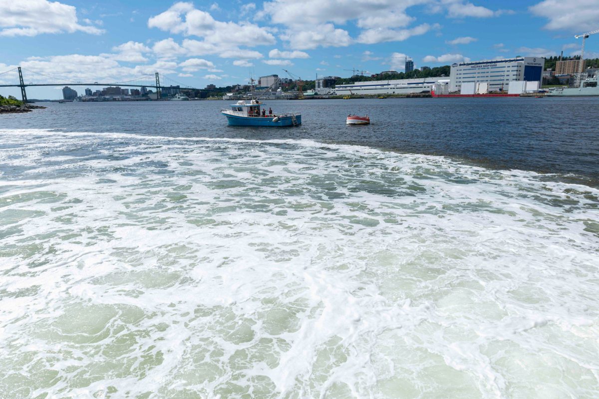 ocean alkalinity enhancement trial in Halifax, Nova Scotia