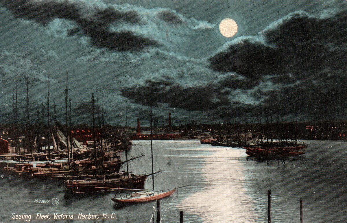 In the late 1800s, Victoria's Inner Harbour was home port to about 100 schooners involved in the commercial fur sealing industry.