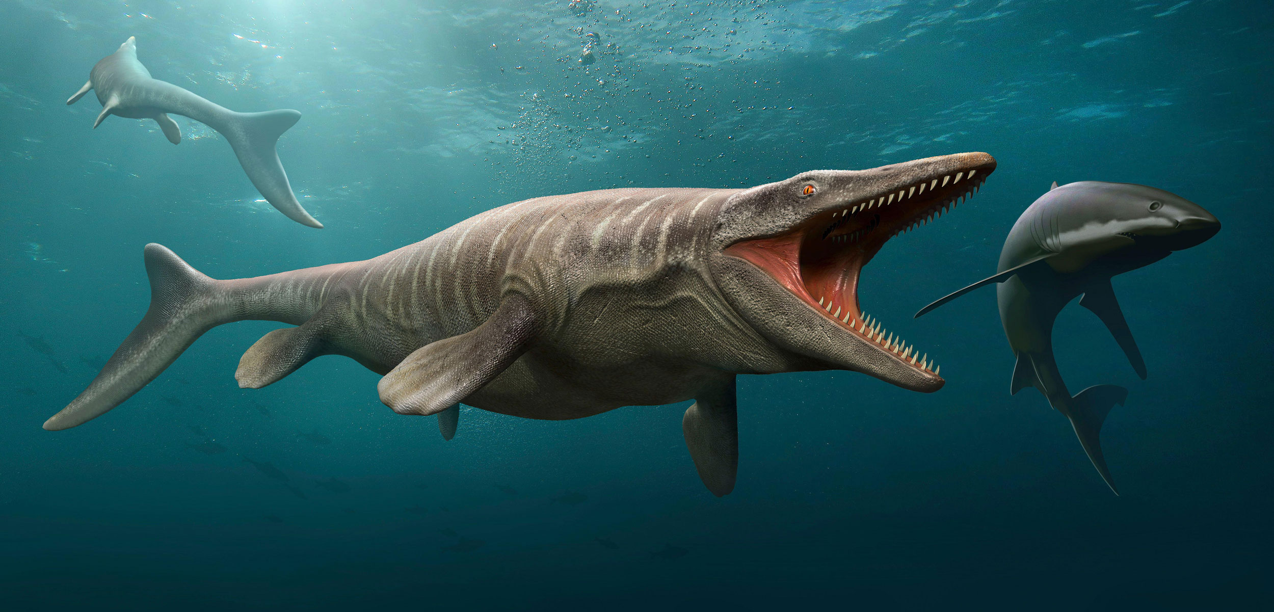 Artistic renditions of mosasaurs and other ancient sea life.