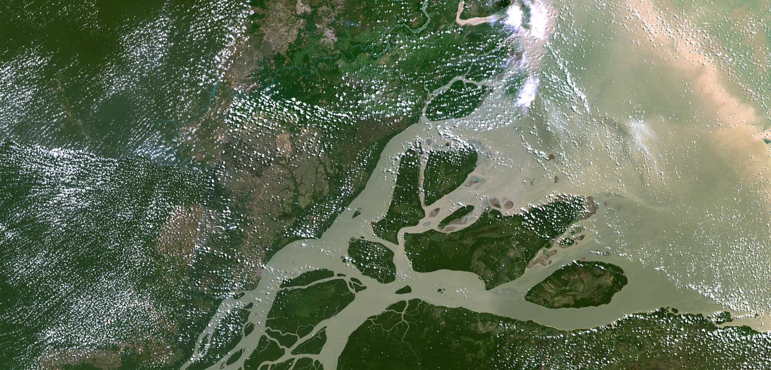 Amazon River Delta
