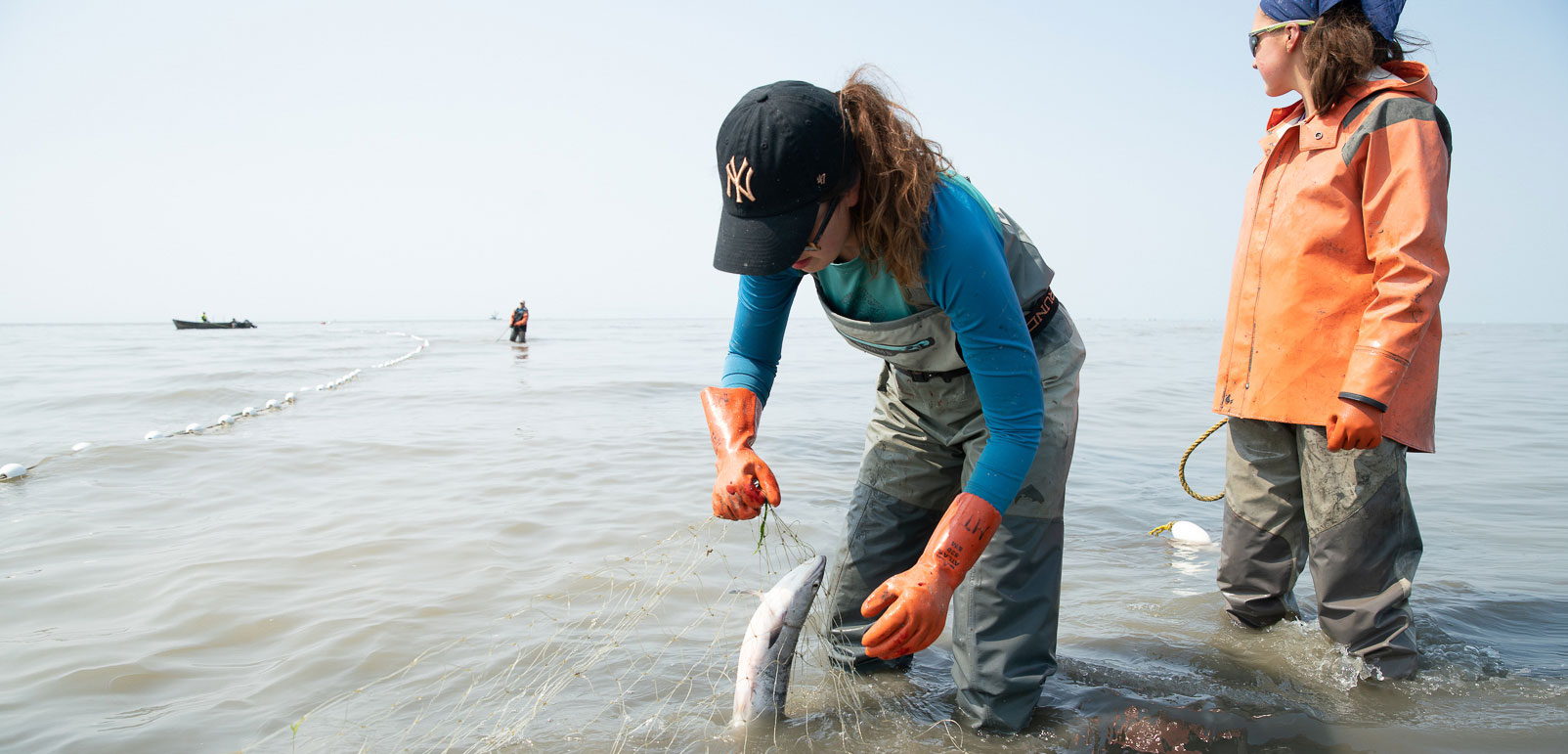 Sisters Melissa and Emily Taylor pick sockeye salmon from a setnet