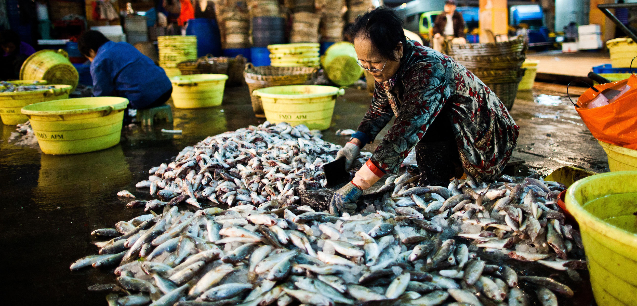 Woman sorting fish at Aberdeen Fish Market, Hong Kong, China