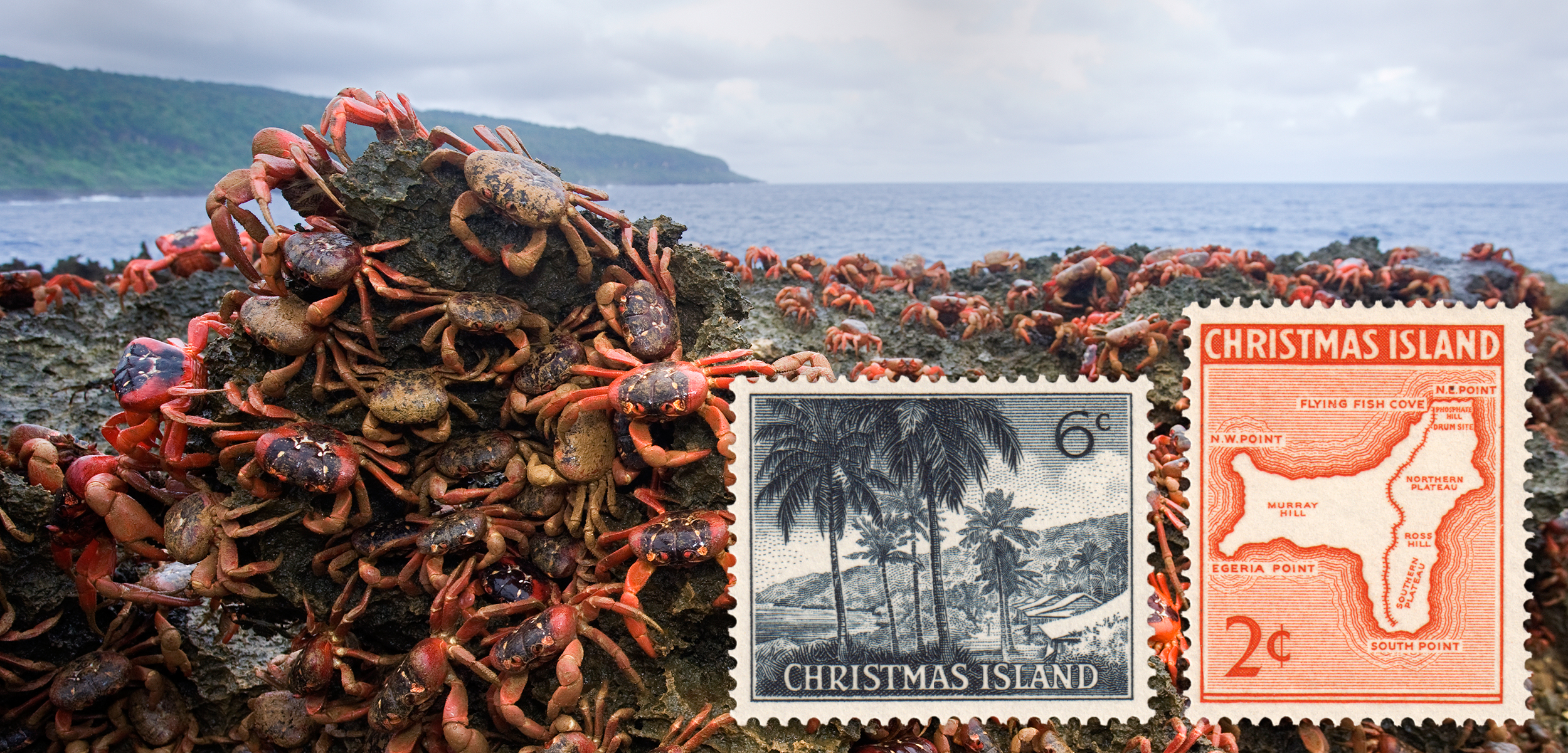 The biodiversity, unique culture, and colorful history of Australia’s Christmas Island is reflected in postage stamps. Background photo by Stephen Belcher/Minden Pictures/Corbis