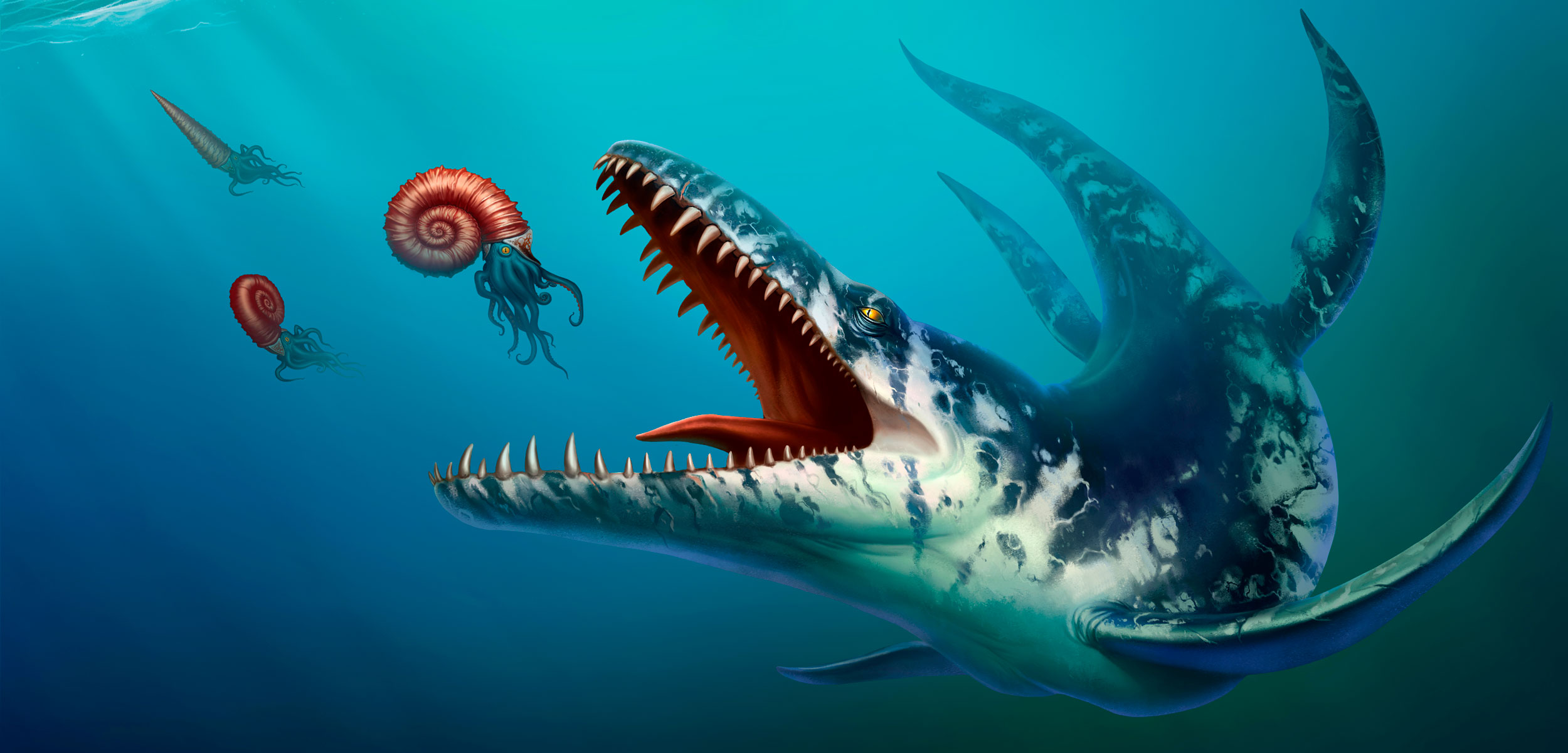 illustration of Kronosaurus