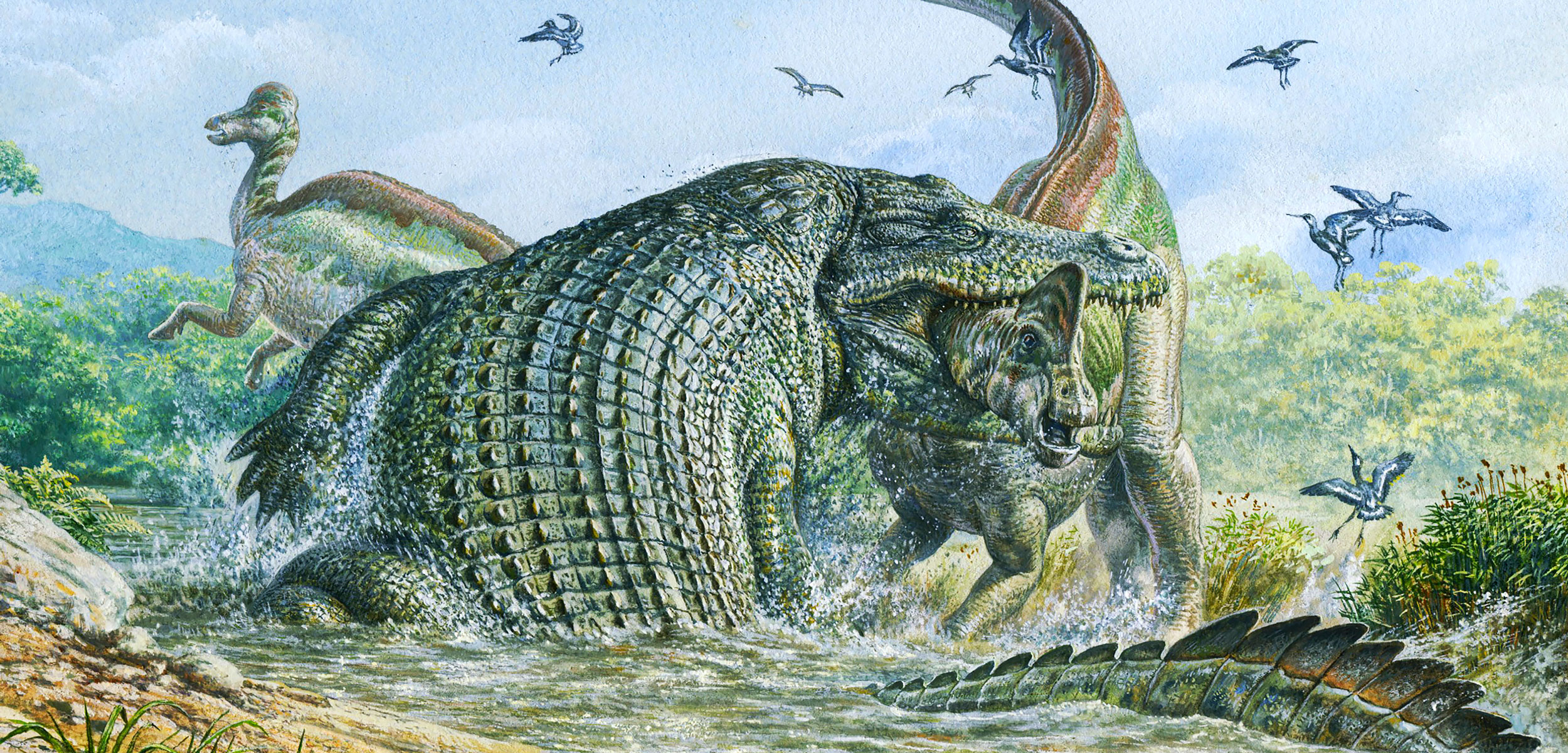 Deinosuchus reptile attacking a dinosaur
