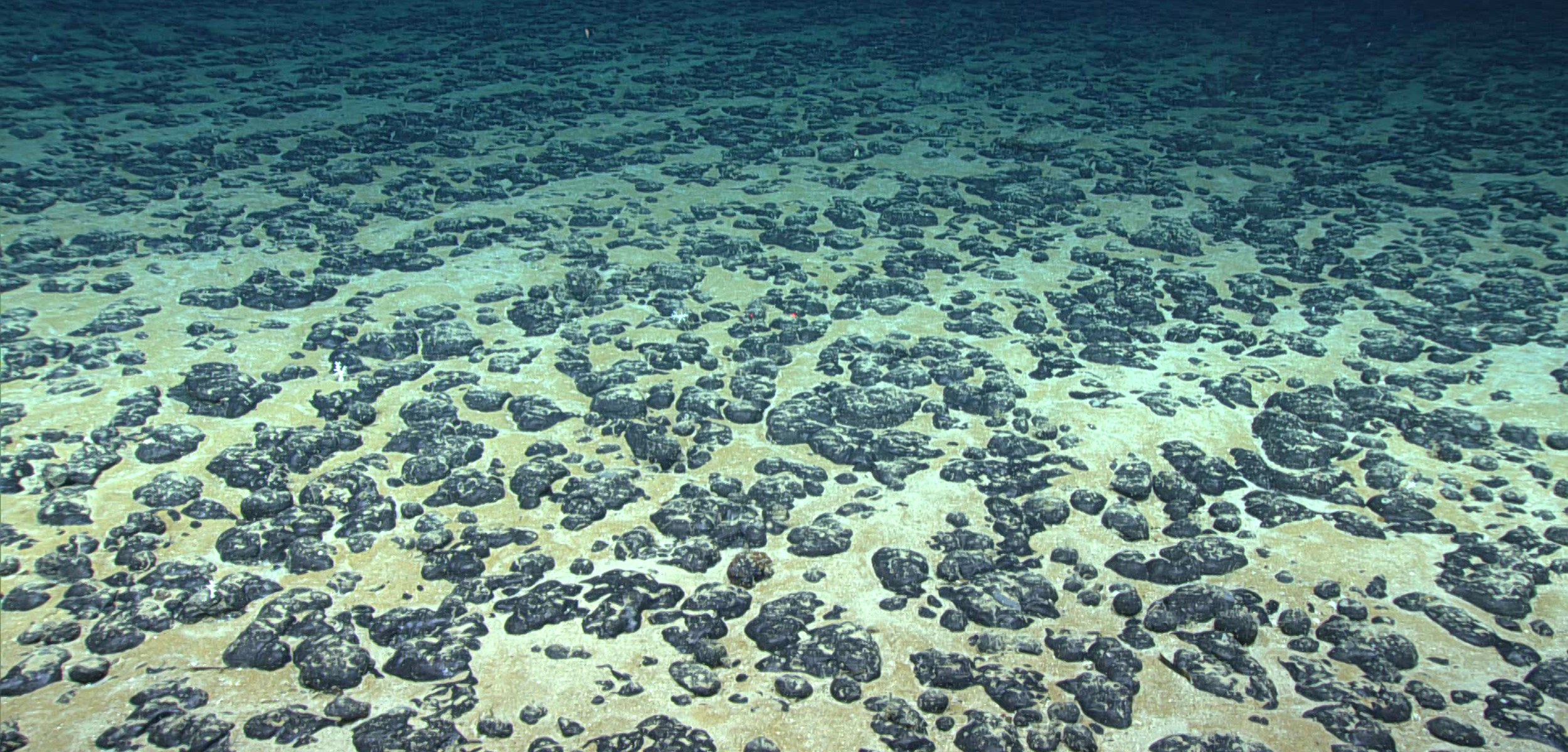 small black nodules sit on the bottom of a sandy blue seafloor