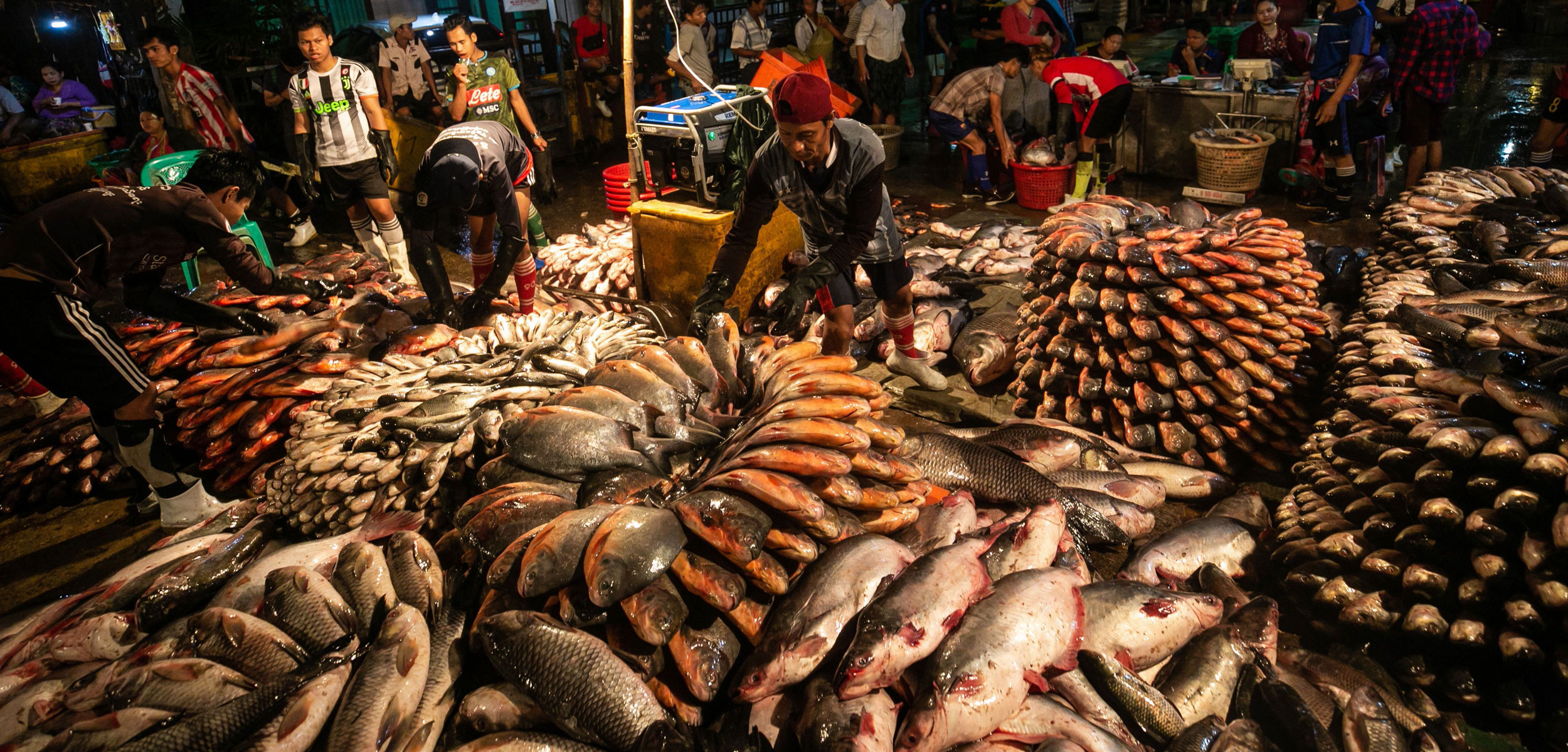 San Pya wholesale fish market in Yangon, Myanmar