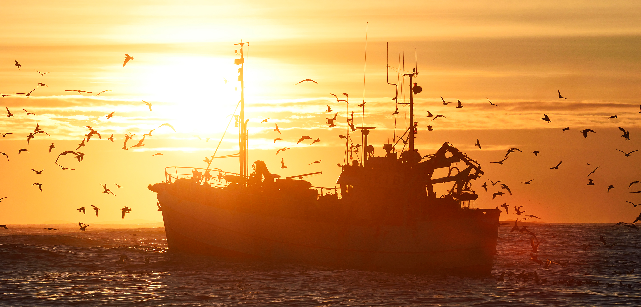 A fishing boat set against the bright orange sunset and the sky is filled with the silhouette of birds