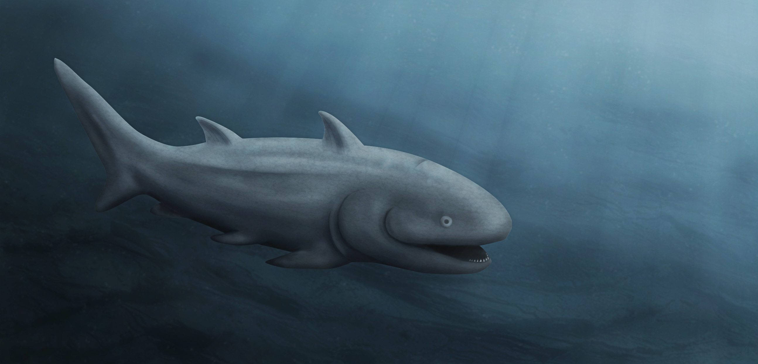 An artist’s rendition of how the common ancestor of bony and cartilaginous fish might have appeared. Illustration by Mark Garrison