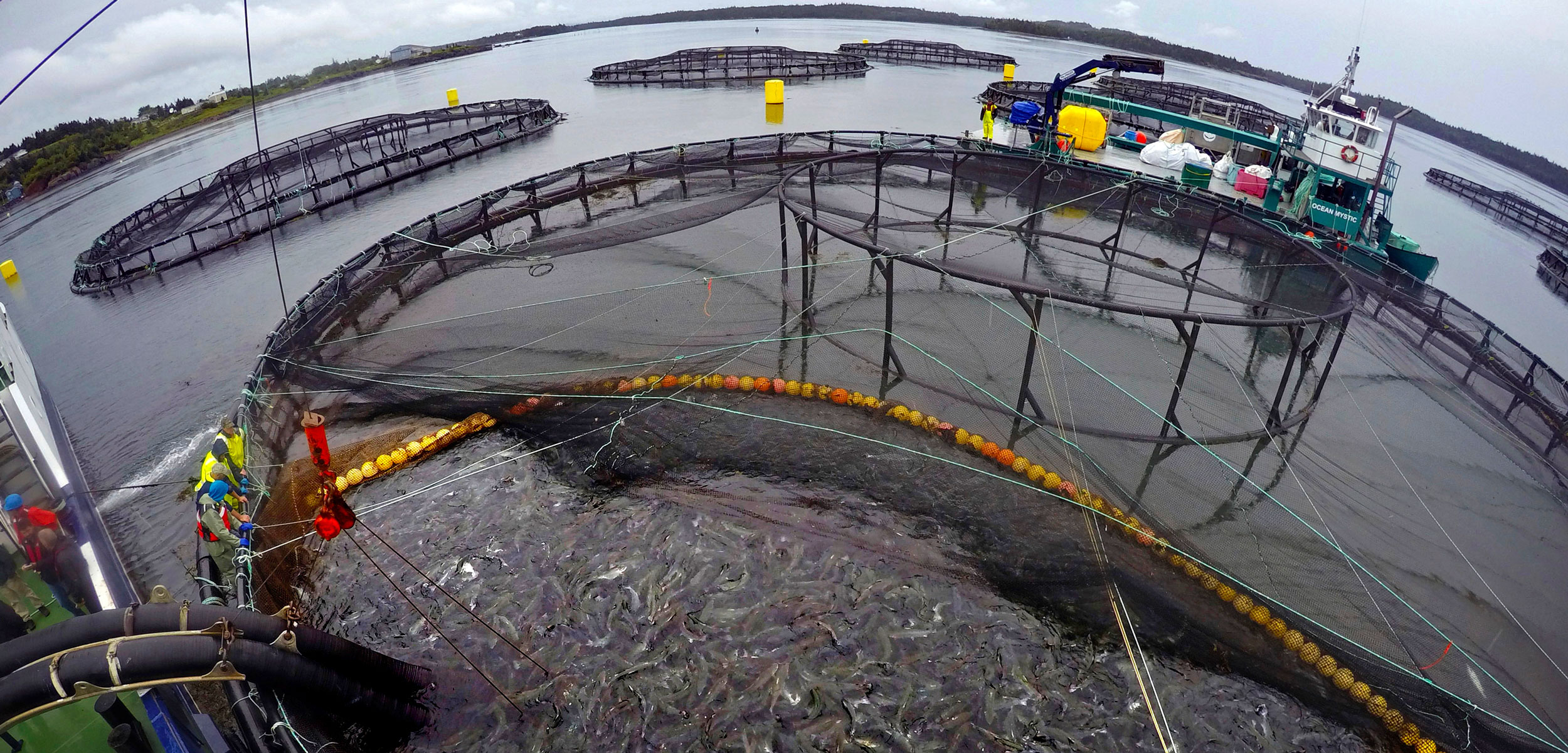 fish farm in Atlantic Canada