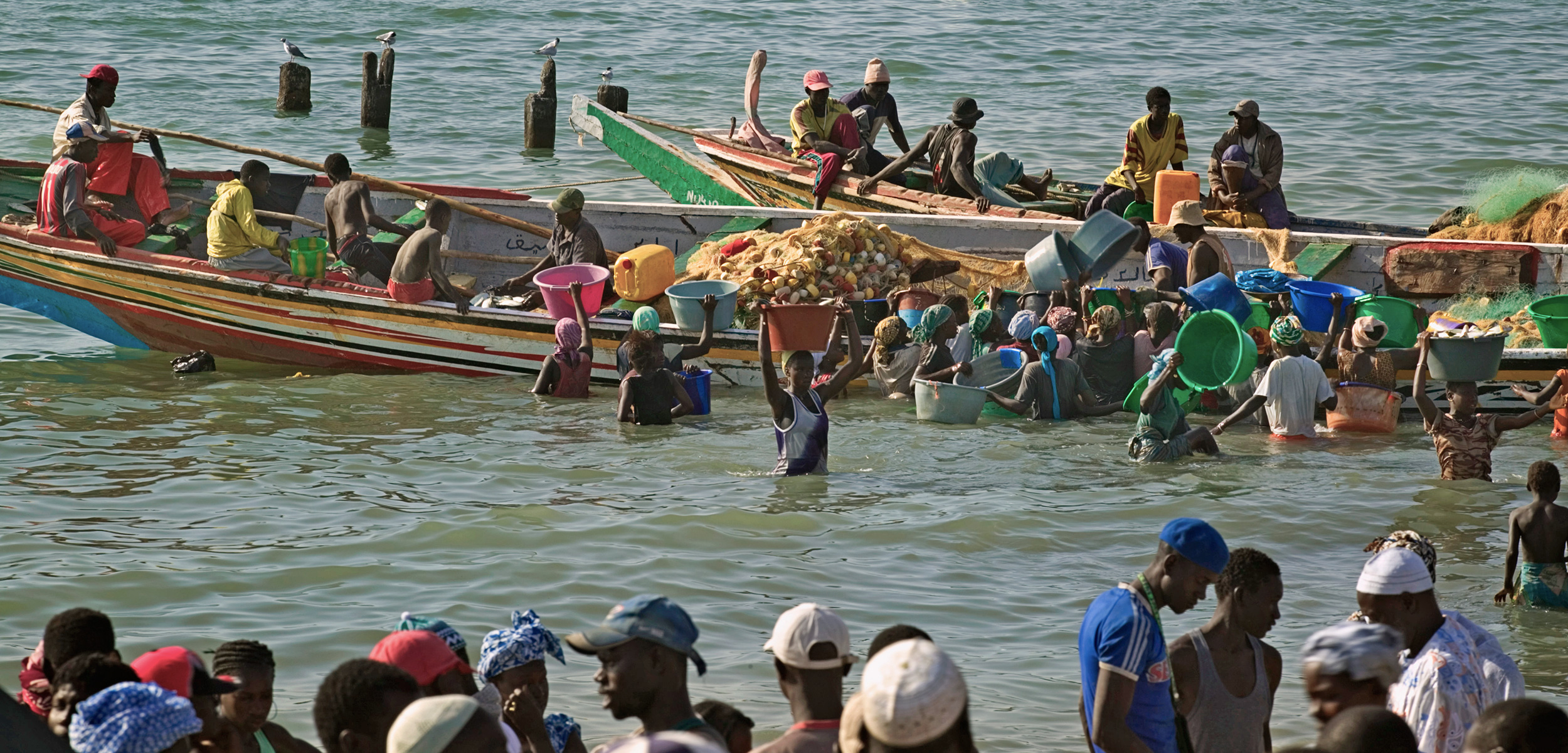 Gambian fishermen are hoping an eco-label will help secure their livelihood. Photo by Jon Hicks/Corbis