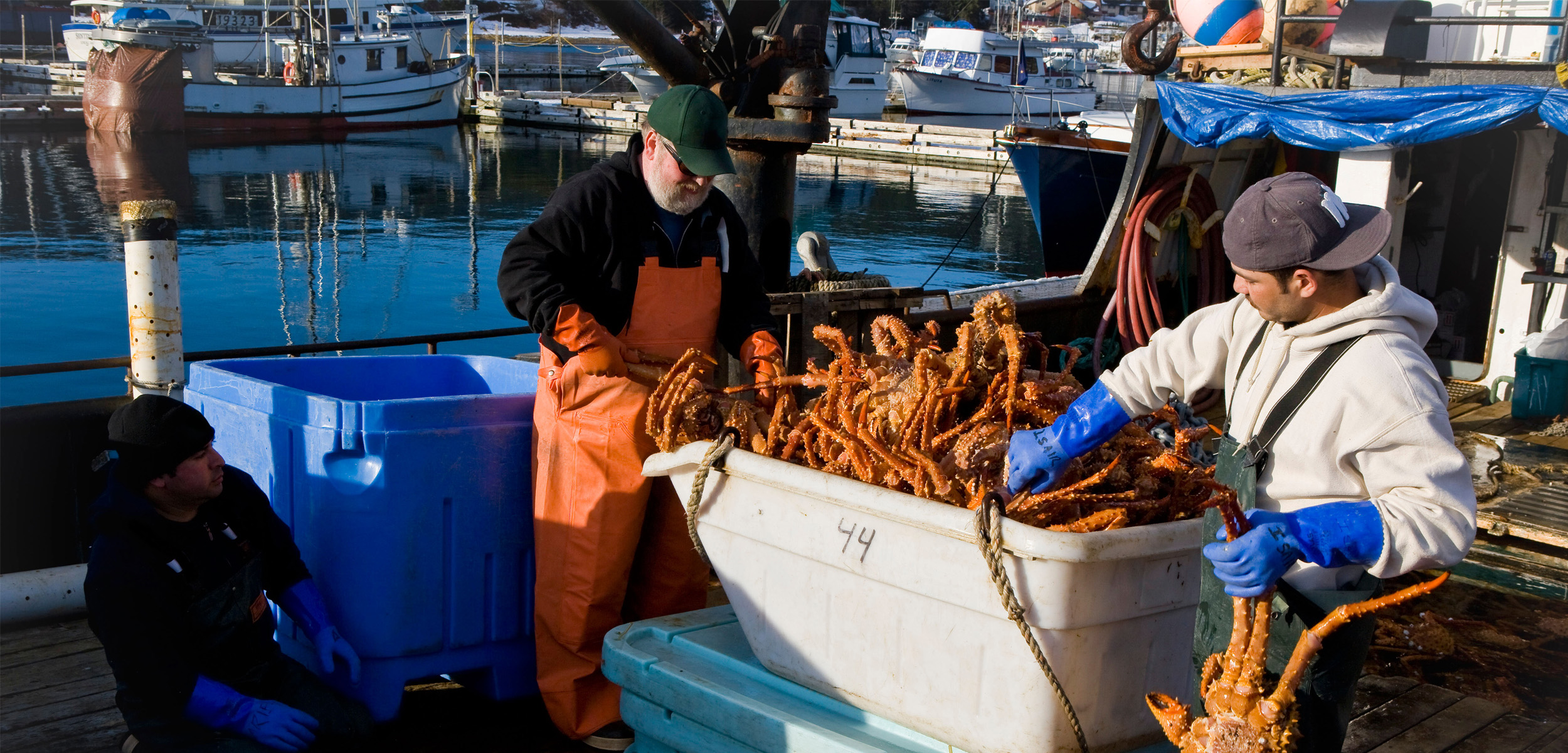 Two older white fisherman unload crabs from a white bin while standing towards the bow of a boat with the ocean in the background