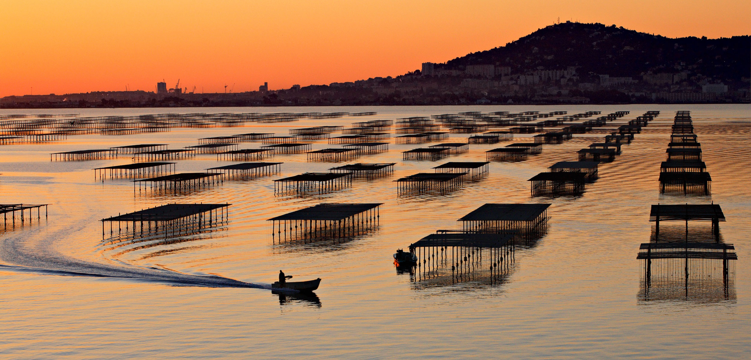 Etang de Thau and oyster farming in Languedoc Roussillon, France