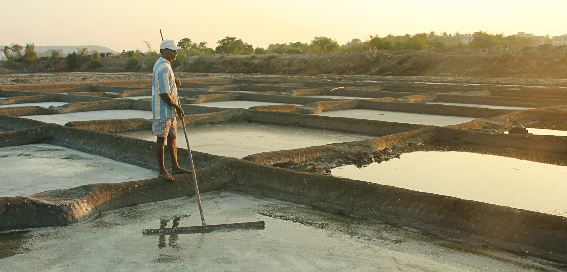 Pravin Bagli, one of the few remaining traditional salt makers in Goa, India, works on his salt pan near the Chapora River. Photo by Glenda D’Souza