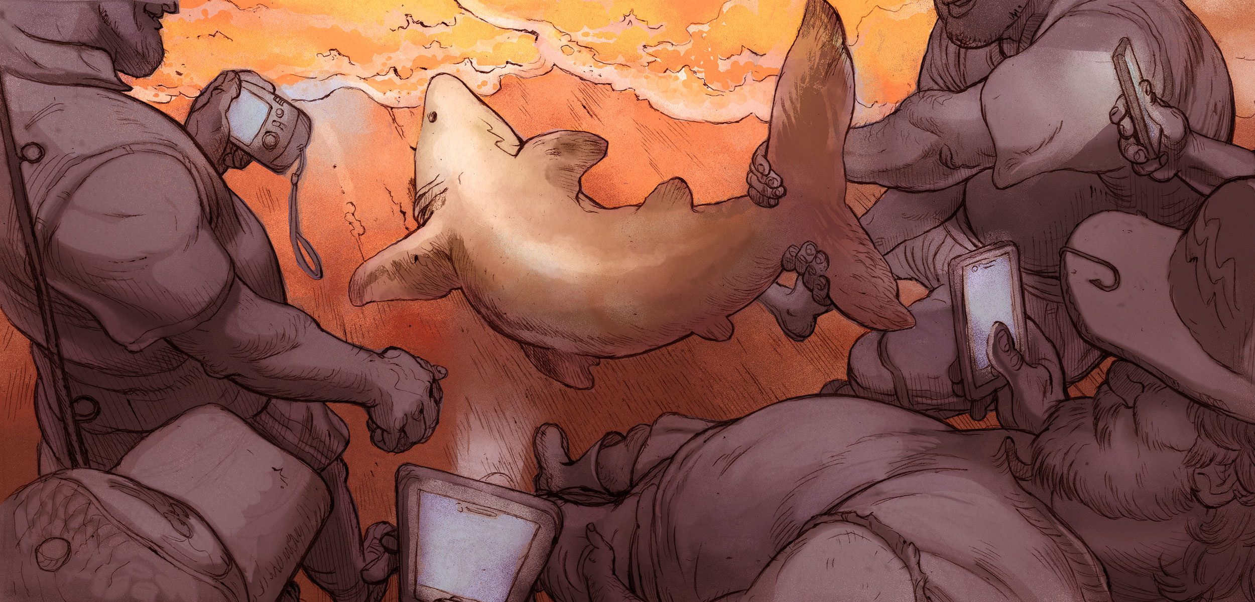 illustration of shark being pulled from water