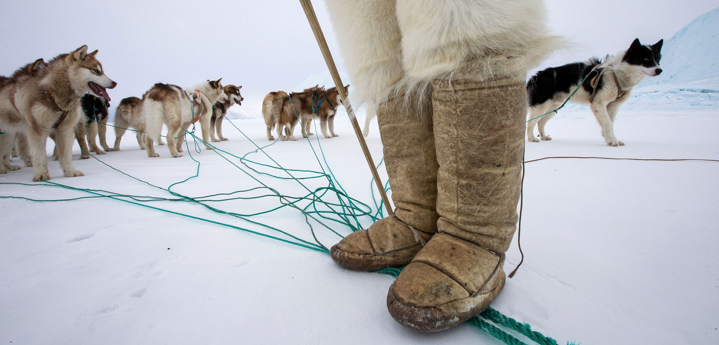 sled dogs and Inuit hunter's boots and polar bear skin pants, Greenland