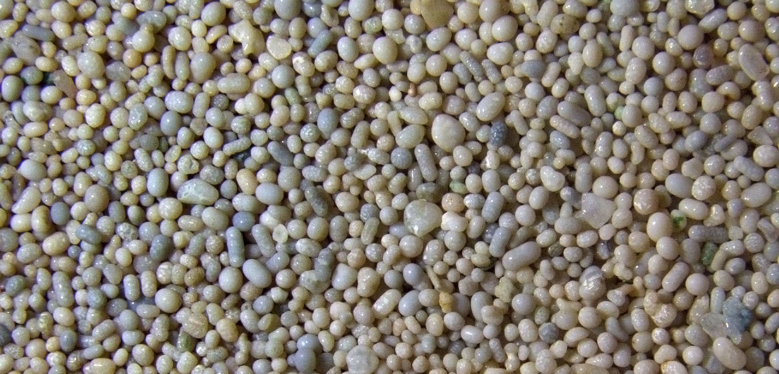 microscopic photo of oolitic sand