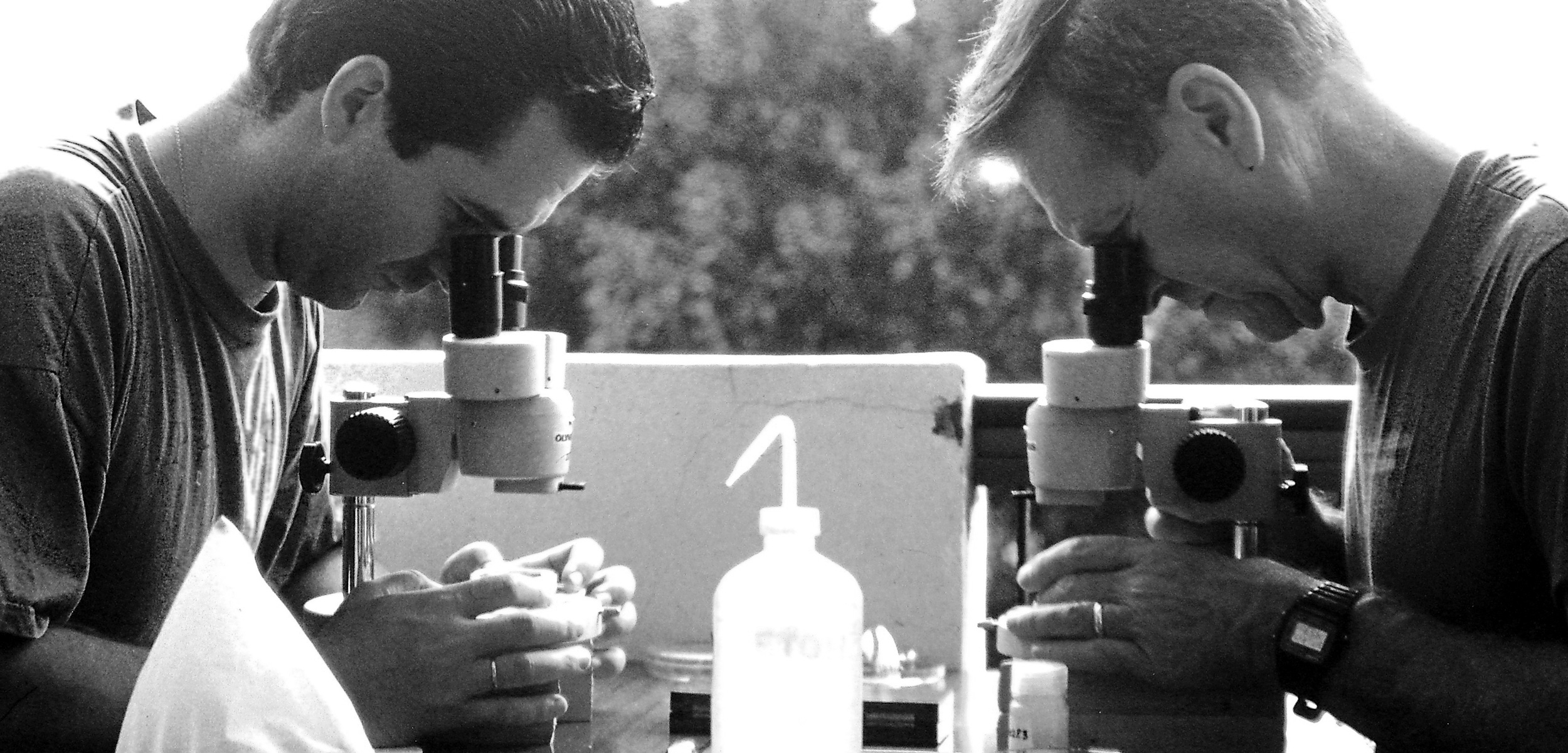 Robert Higgins and Fernando Pardos at microscopes in Spain