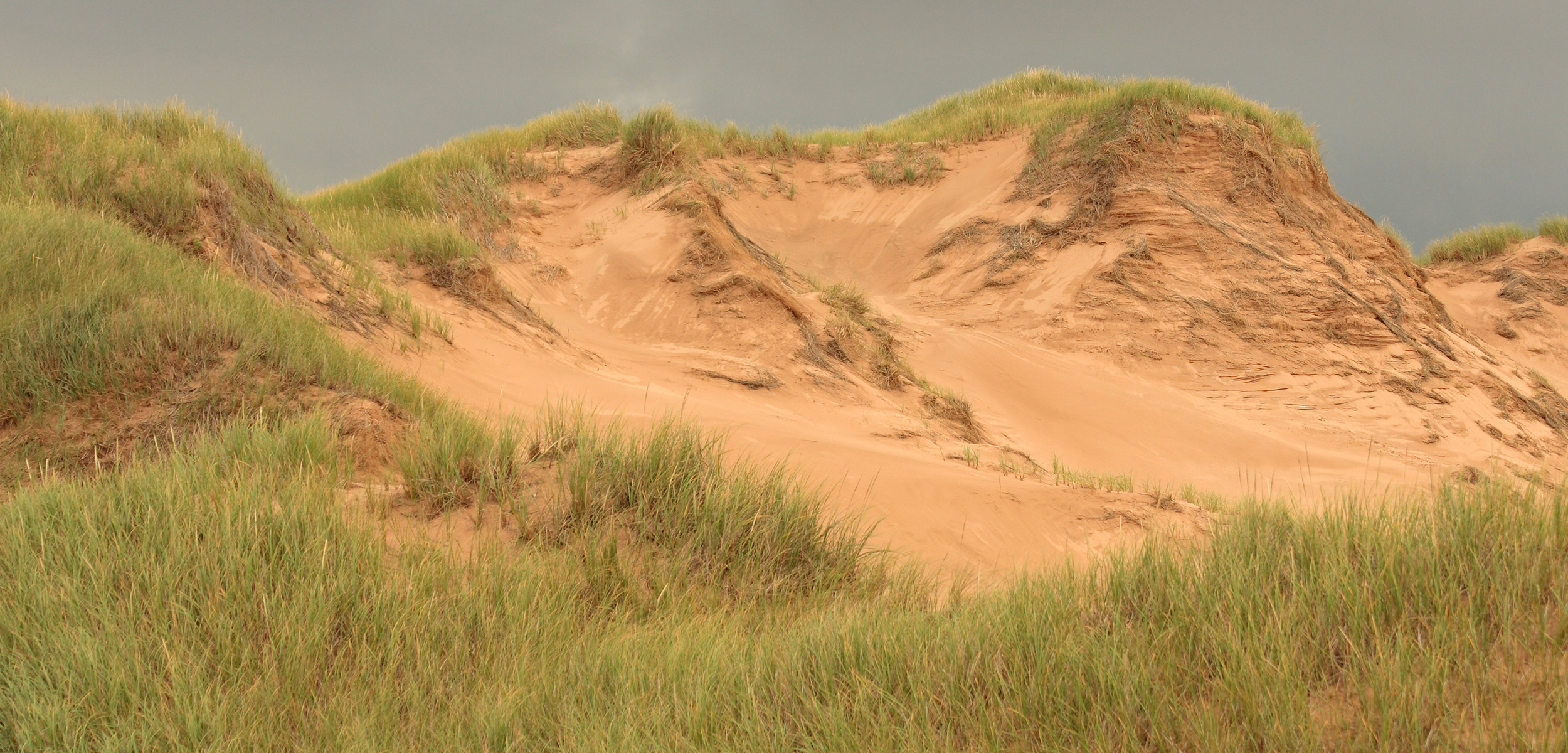 Sand dunes on Prince Edward Island