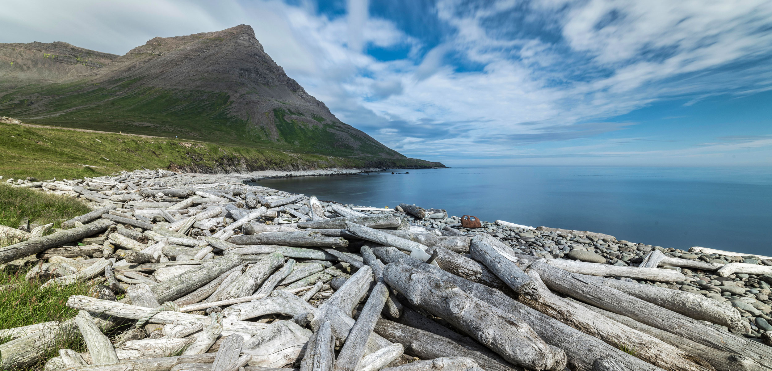 driftwood on shore in Iceland