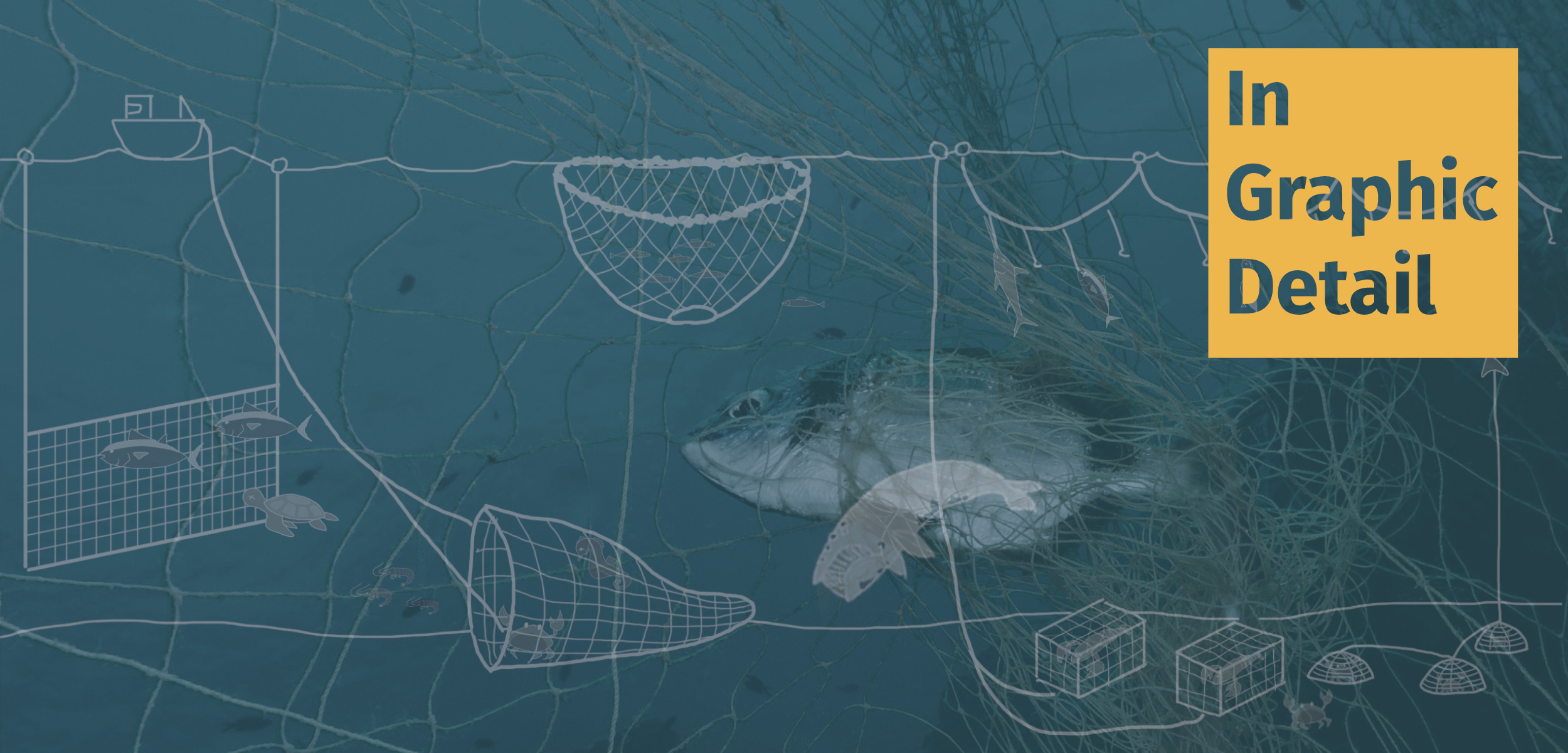 Ghost fishing gear, Stories