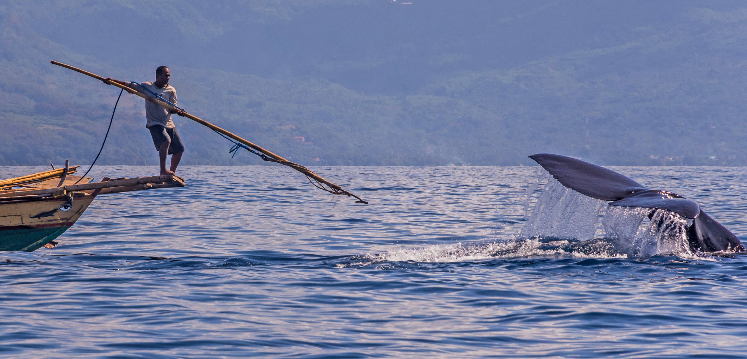 A young Indonesian whale hunter aims at a sperm whale
