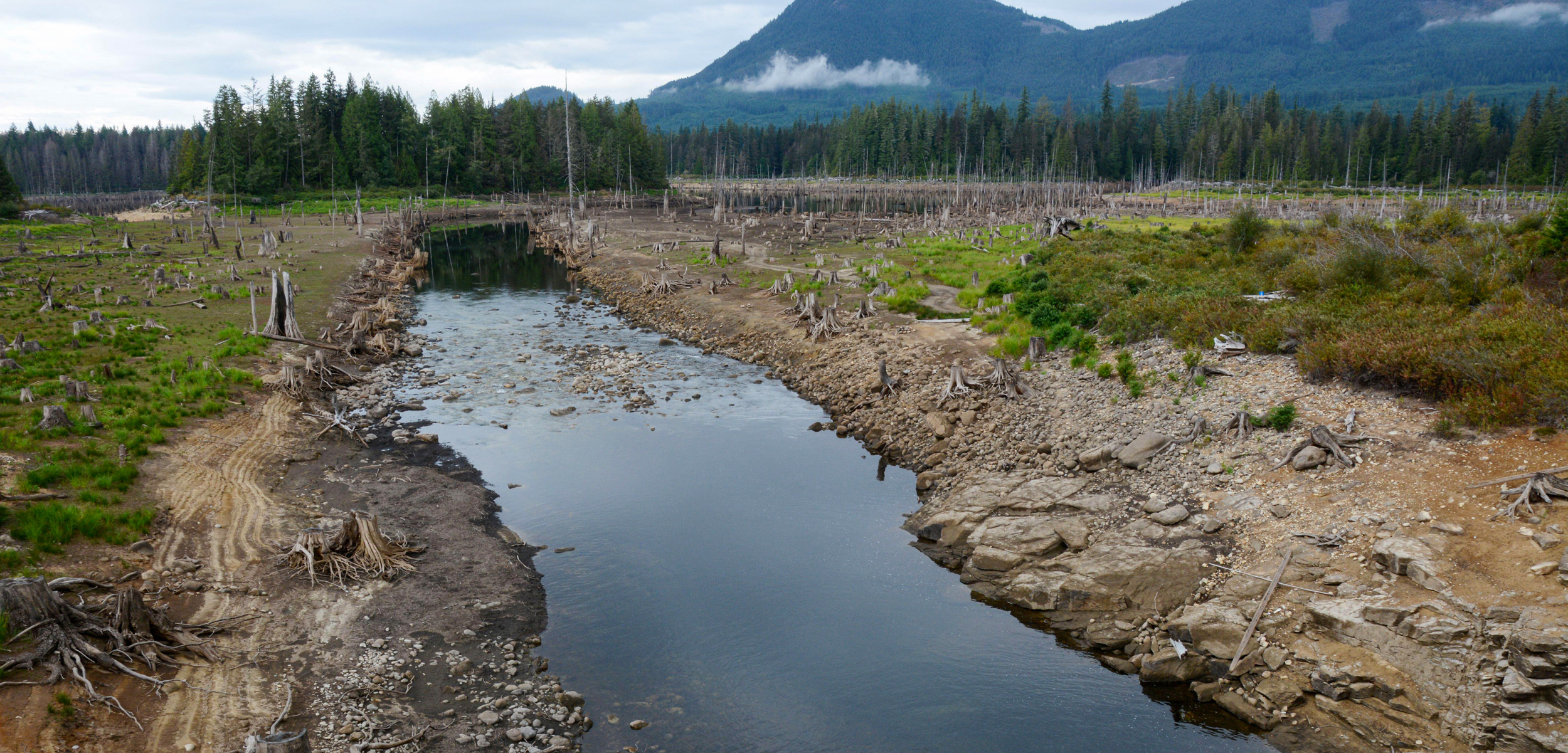 A forest landscape of clearcuts and tree stumps along a creek