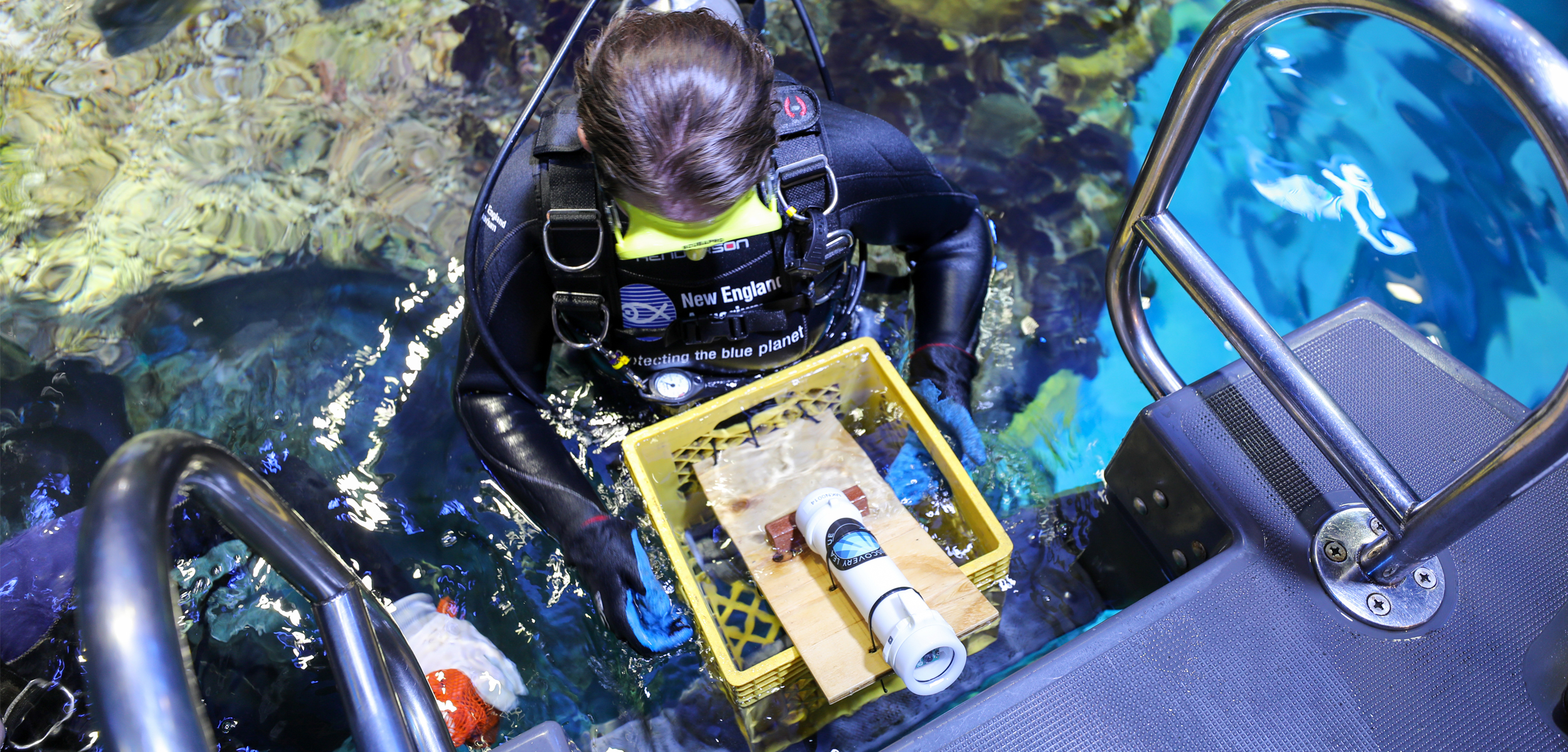 A birds eye view of a scuba diver in a shallow rocky shore are holds a yellow milk crate with the white tubular maka niu tool.