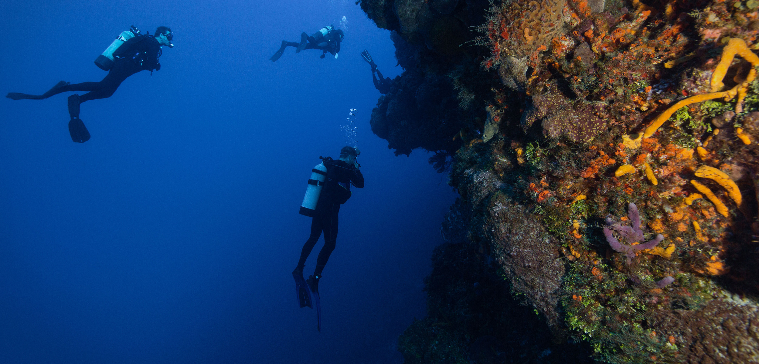 scuba divers exploring the reed off the coast of Cozumel, Mexico