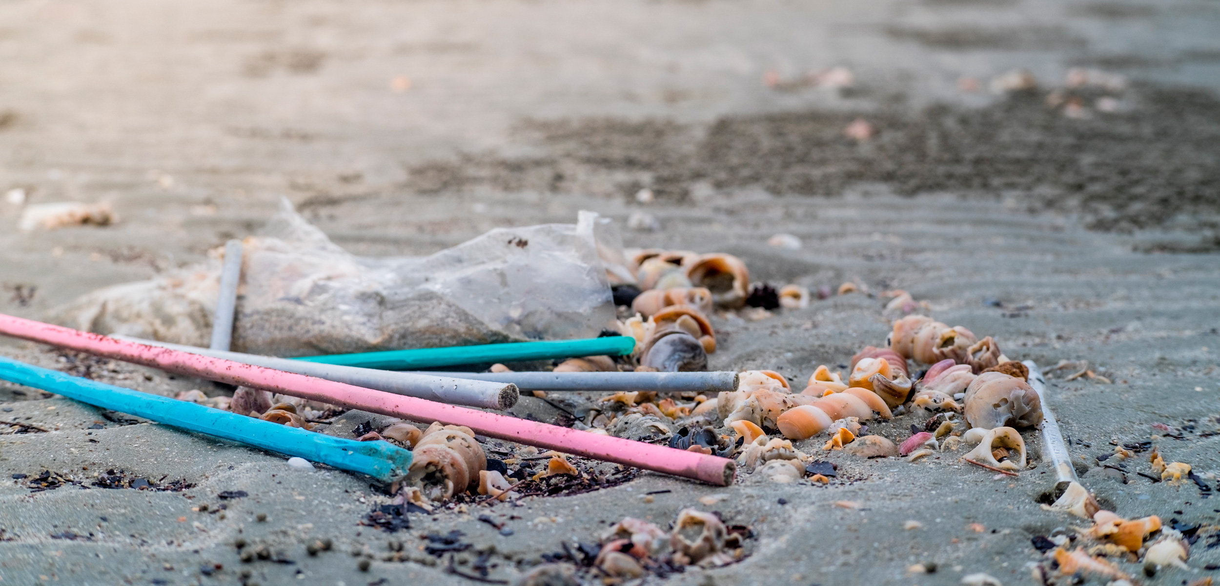 plastic straws on beach