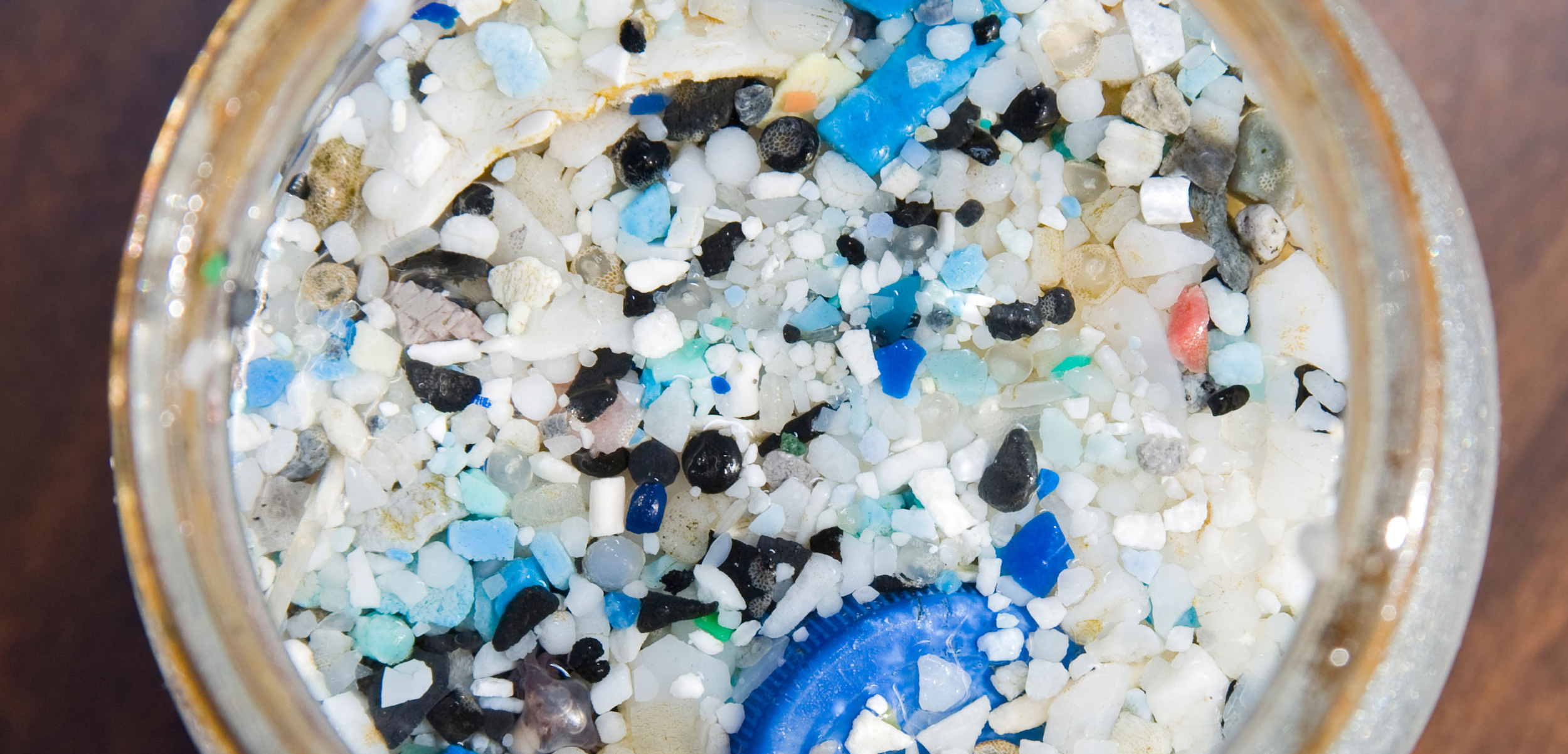 In the ocean, even tiny pieces of plastic can host microbial life. Scientists hope to use observations on how microbial communities develop to estimate how long a microplastic fragment has been floating in the ocean. Photo by Citizen of the Planet/Alamy Stock Photo