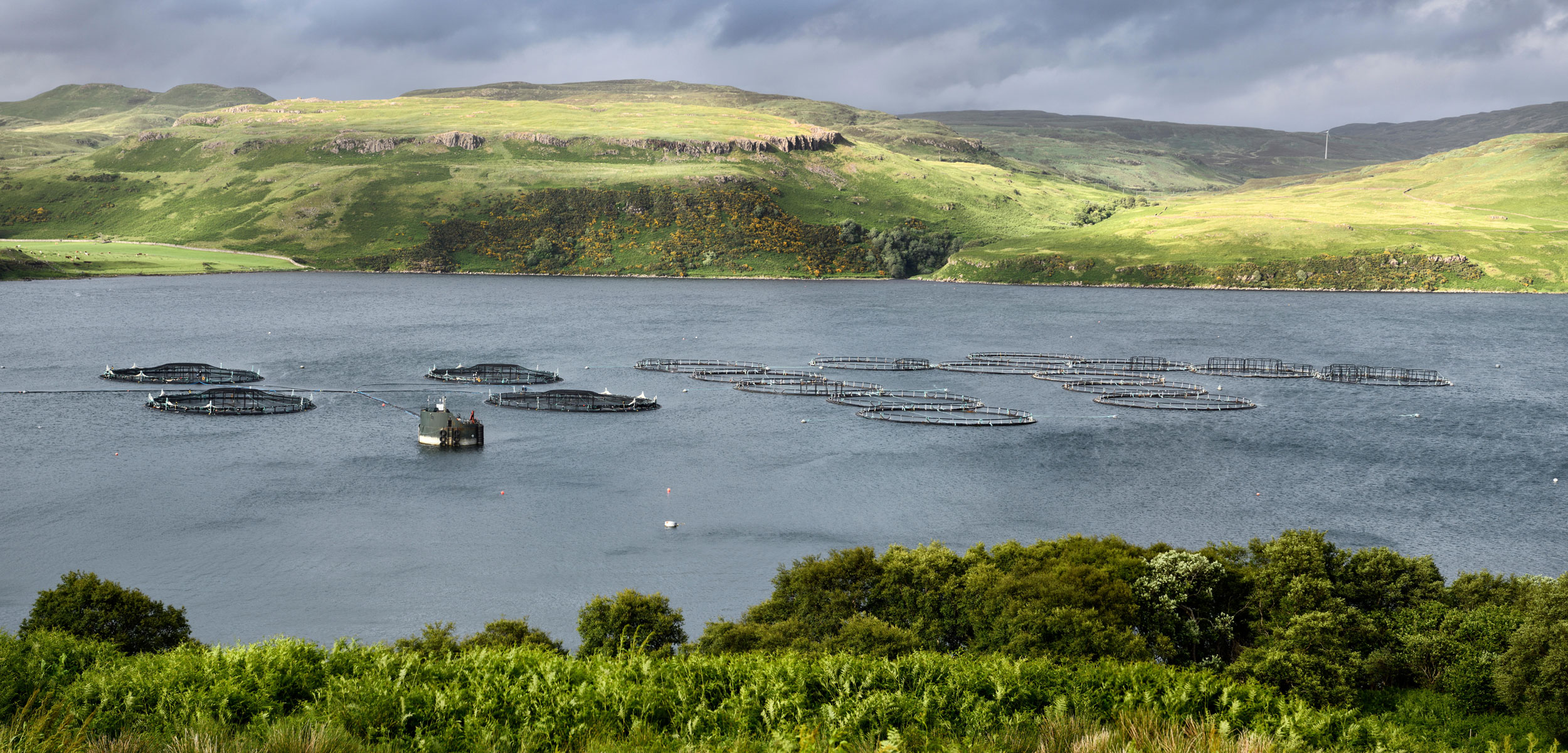 Salmon fish farm net pens on the Isle of Skye, Scotland