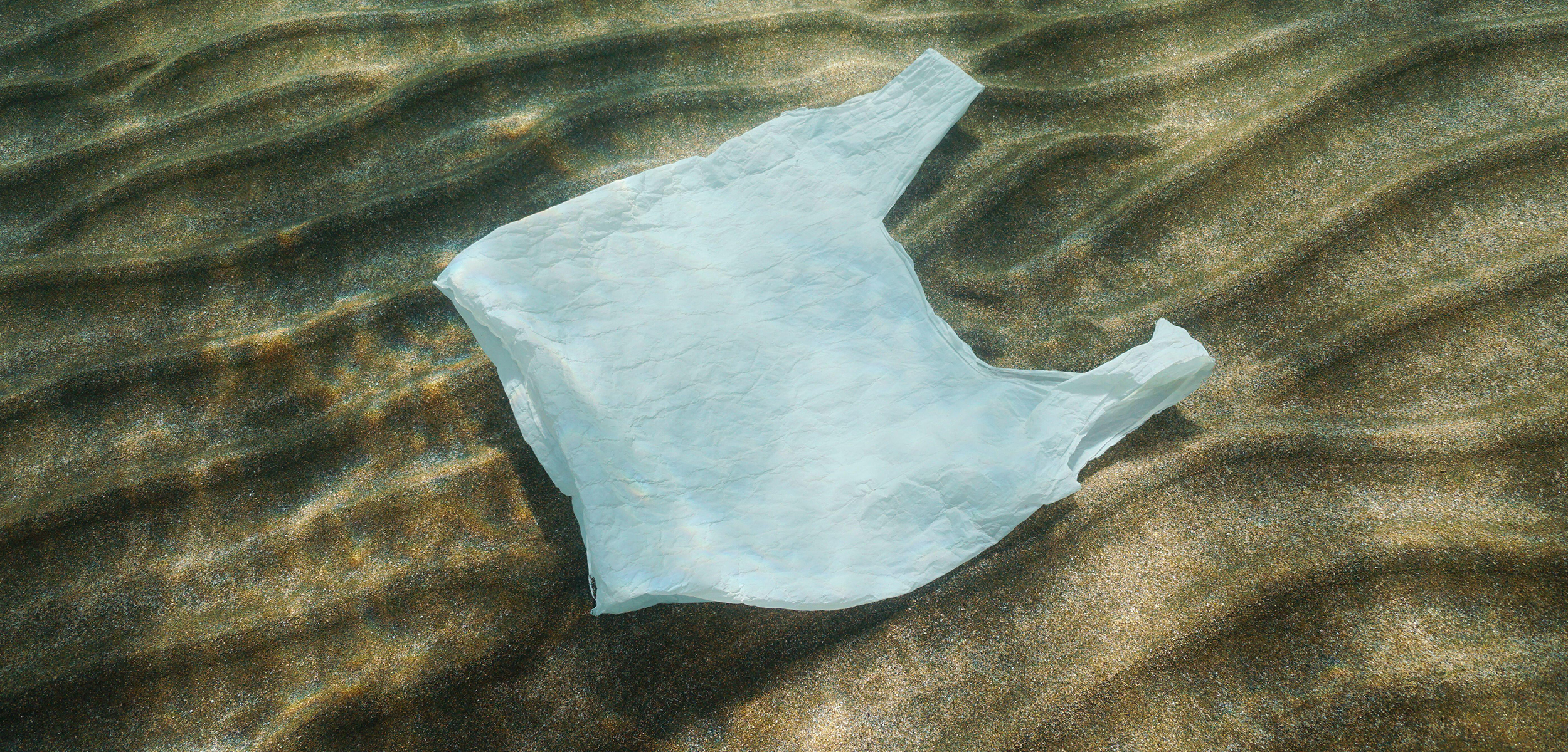 plastic bags ocean
