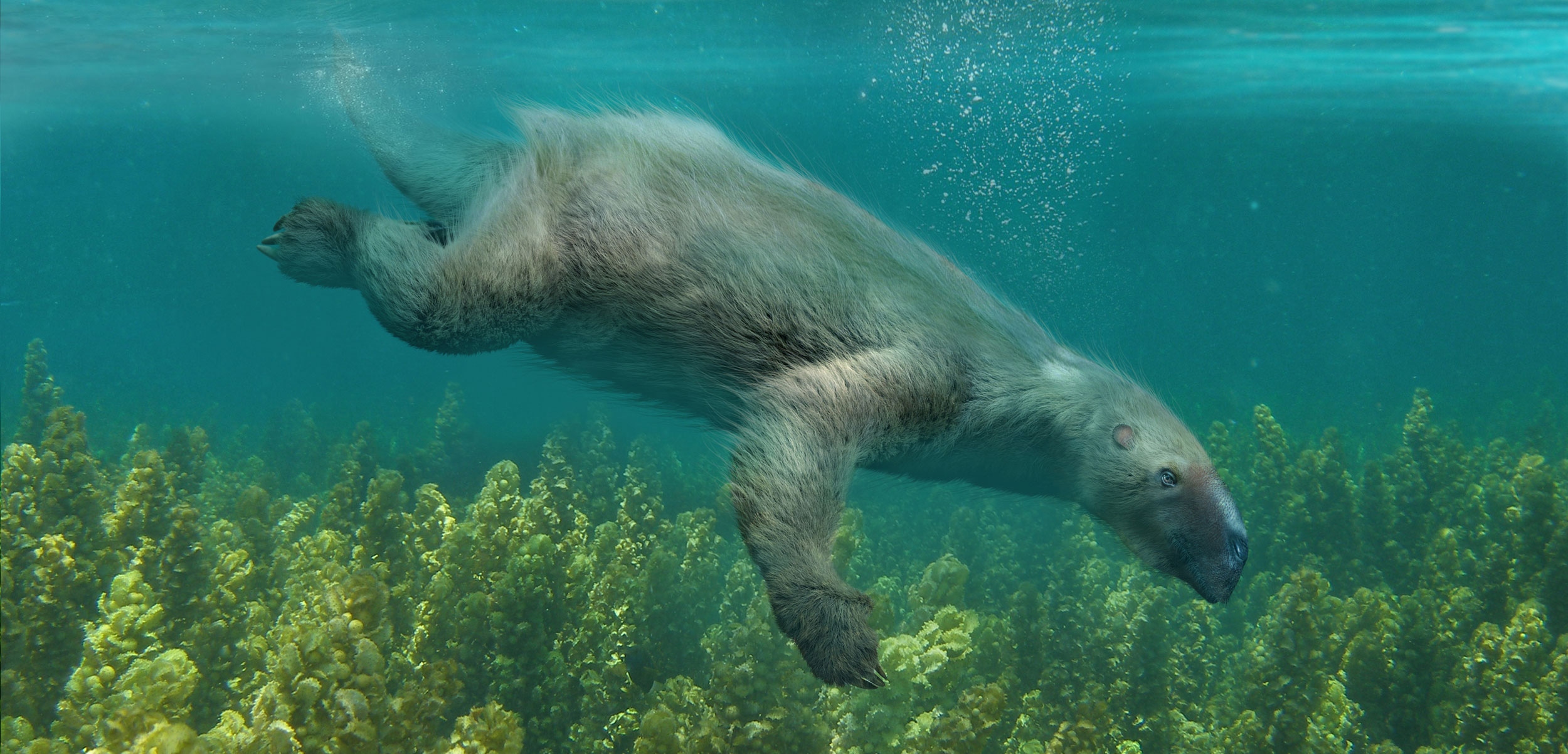 rendering of a Thalassocnus sloth