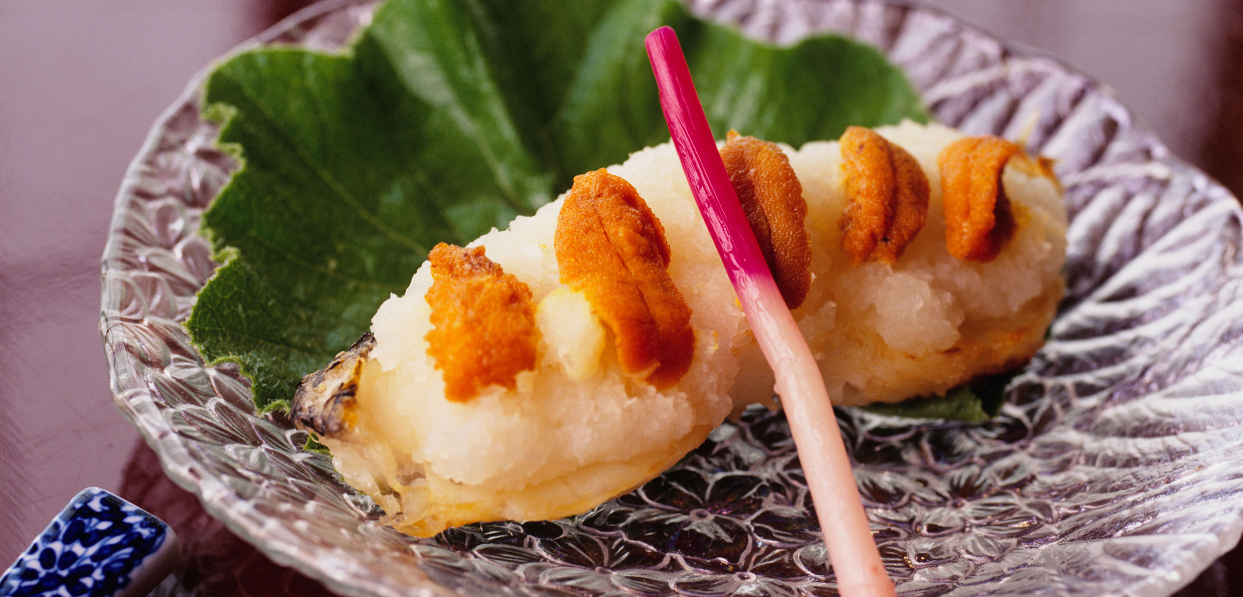 sea urchin on daikon radish