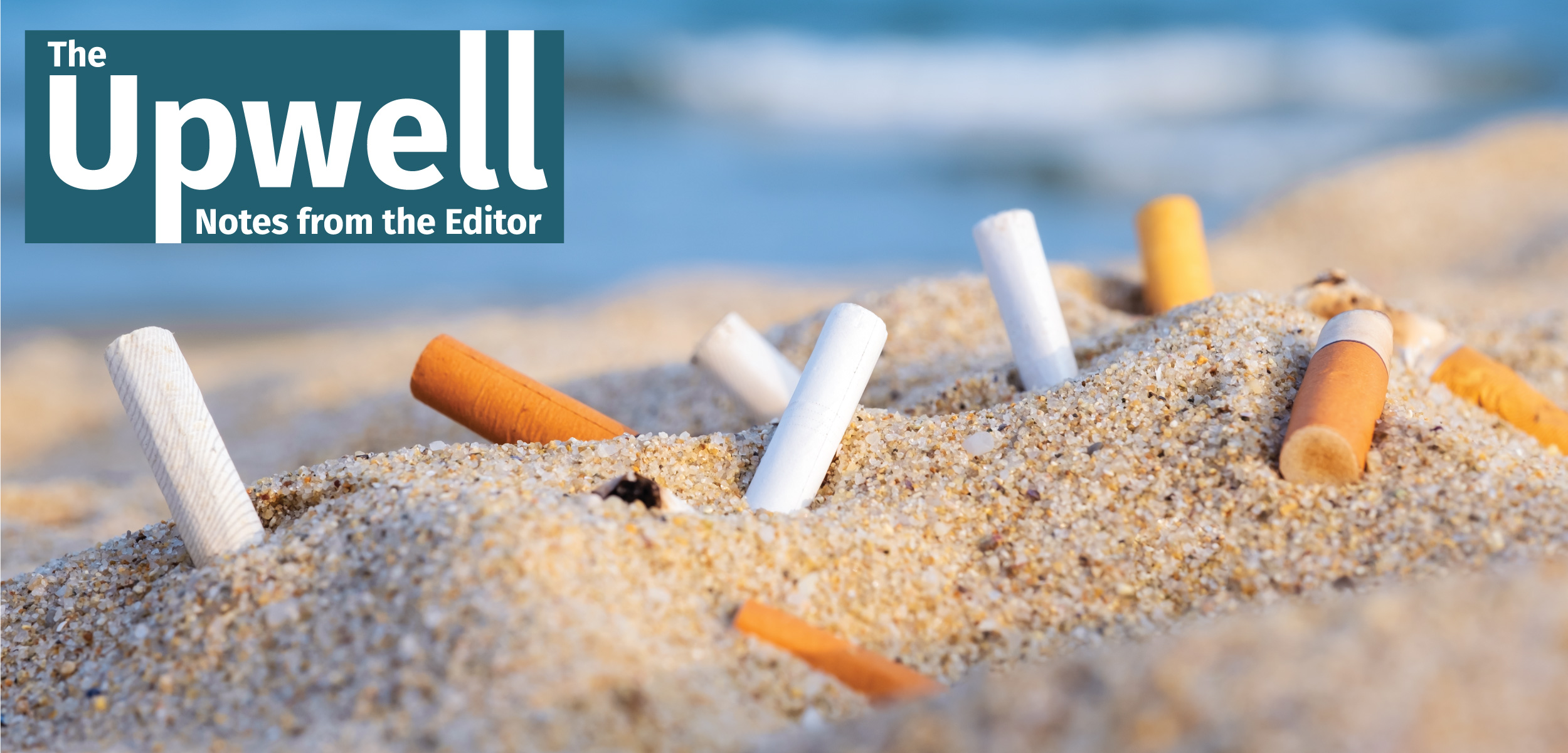 cigarette butts in the sand on a beach