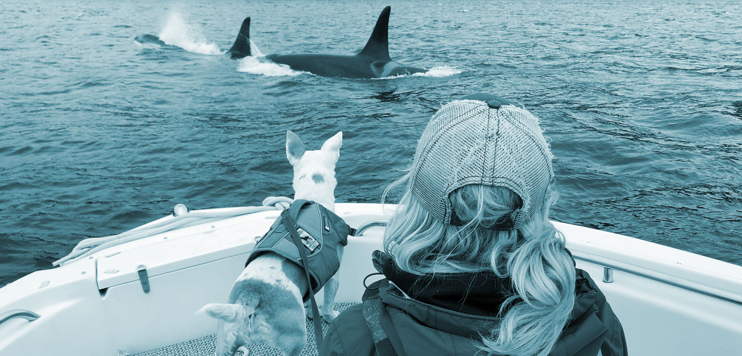 Eba and biologist Deborah Giles, watch killer whales