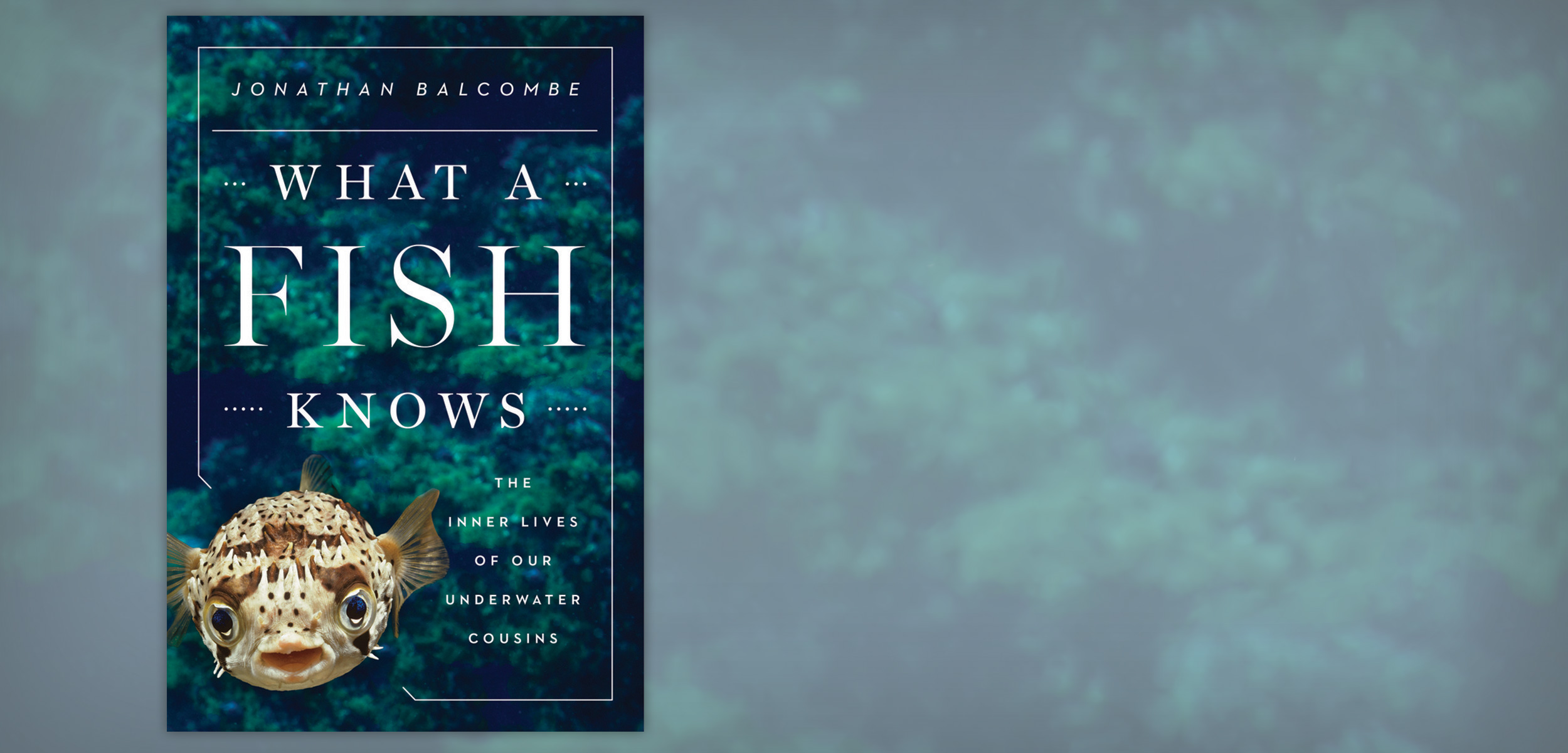 Book Review What a Fish Knows Hakai Magazine