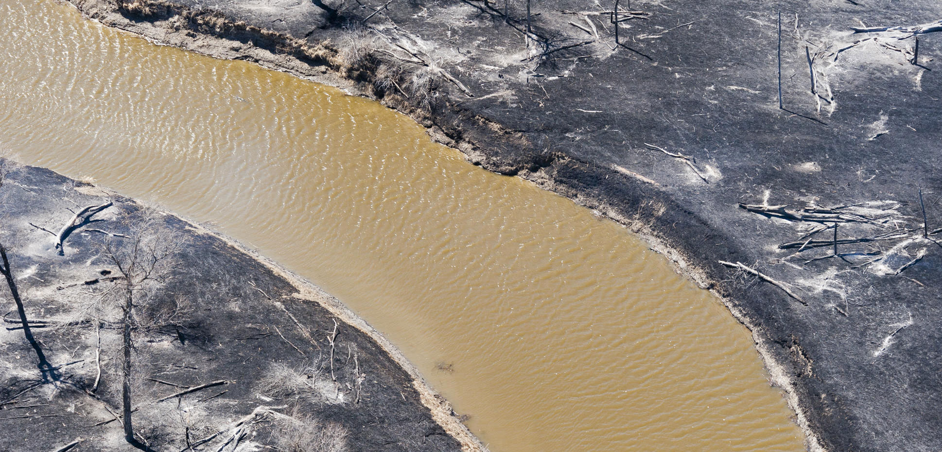 muddy river surrounded by charred aftermath of a wildfire