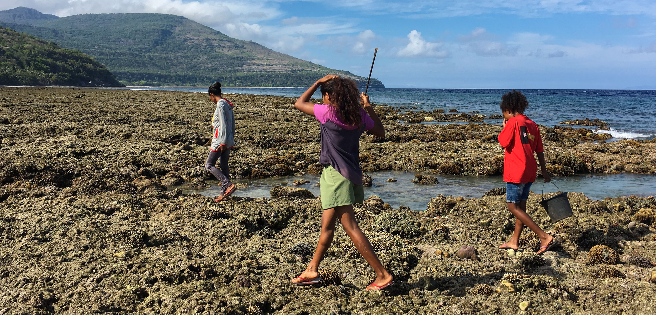 Women forage for marine animals on the rocky shore near Adara, a village on Atauro Island, Timor-Leste