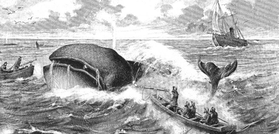 etching of whaling crew