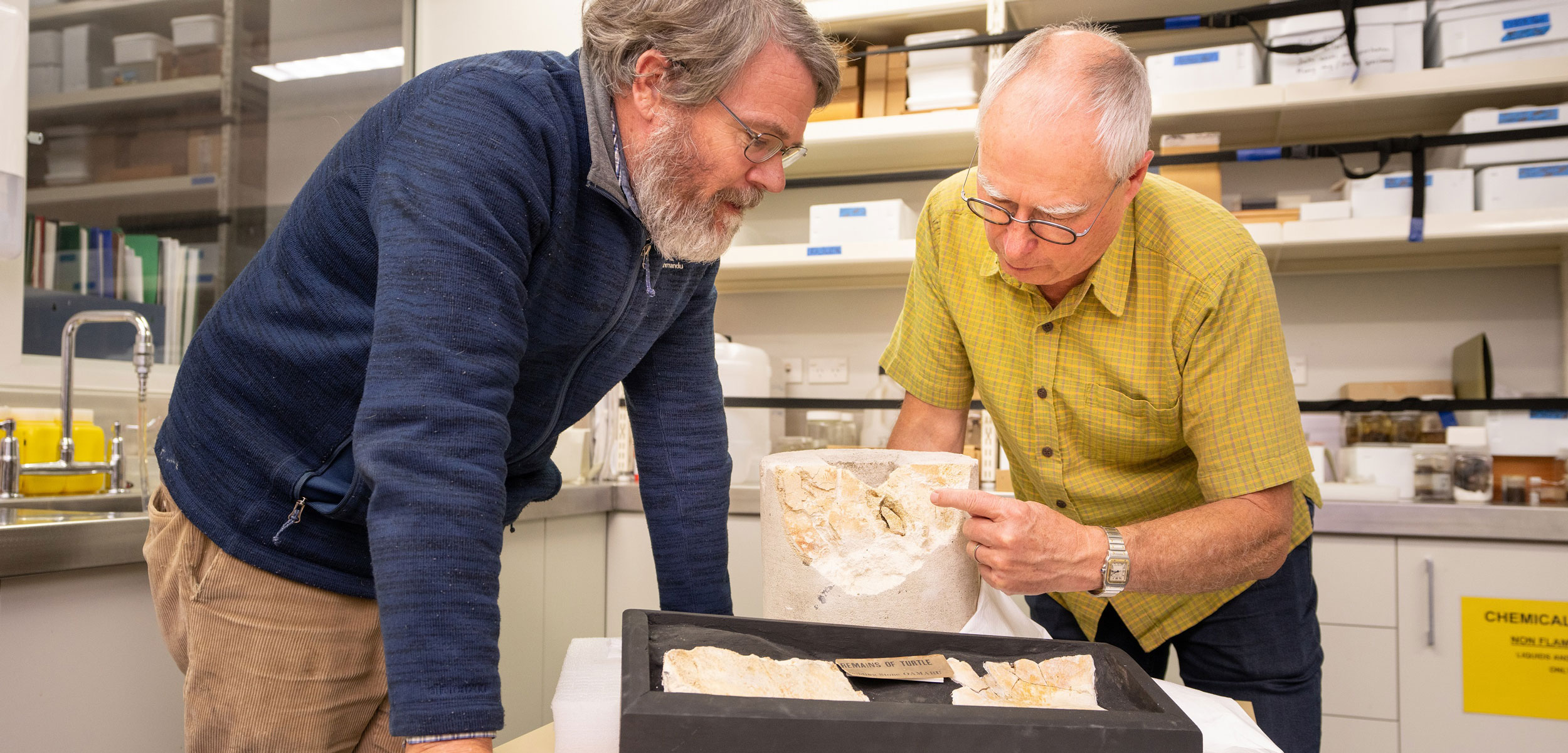 Paul Scofield (left) and Paul Dean (right) examine a fossilized turtle bone found in limestone that was once inside a pillar in the Oxford Terrace Baptist Church in Christchurch, New Zealand