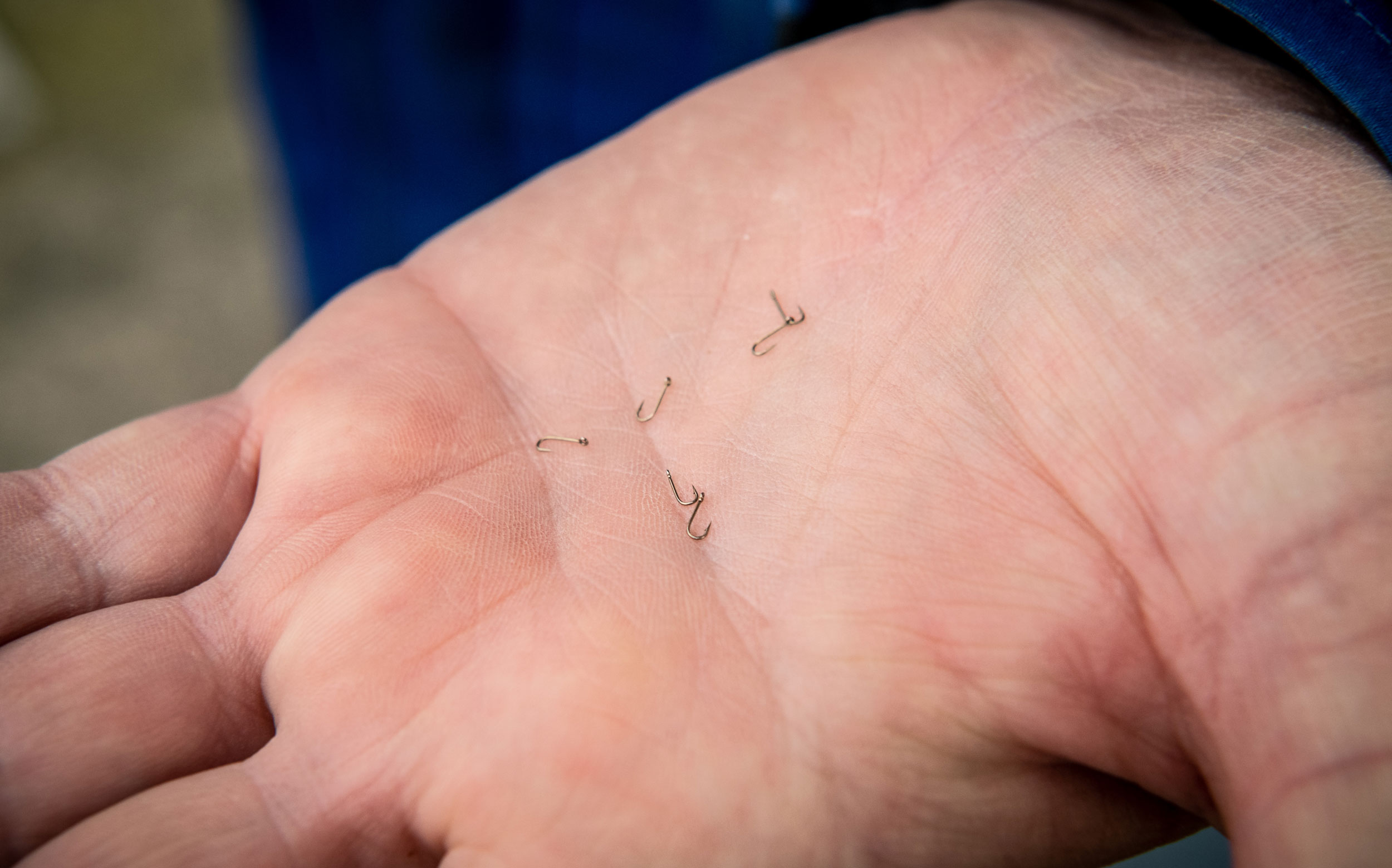 Microfishing Has People Traveling the World in Search of the Smallest Fish  They Can Reel In